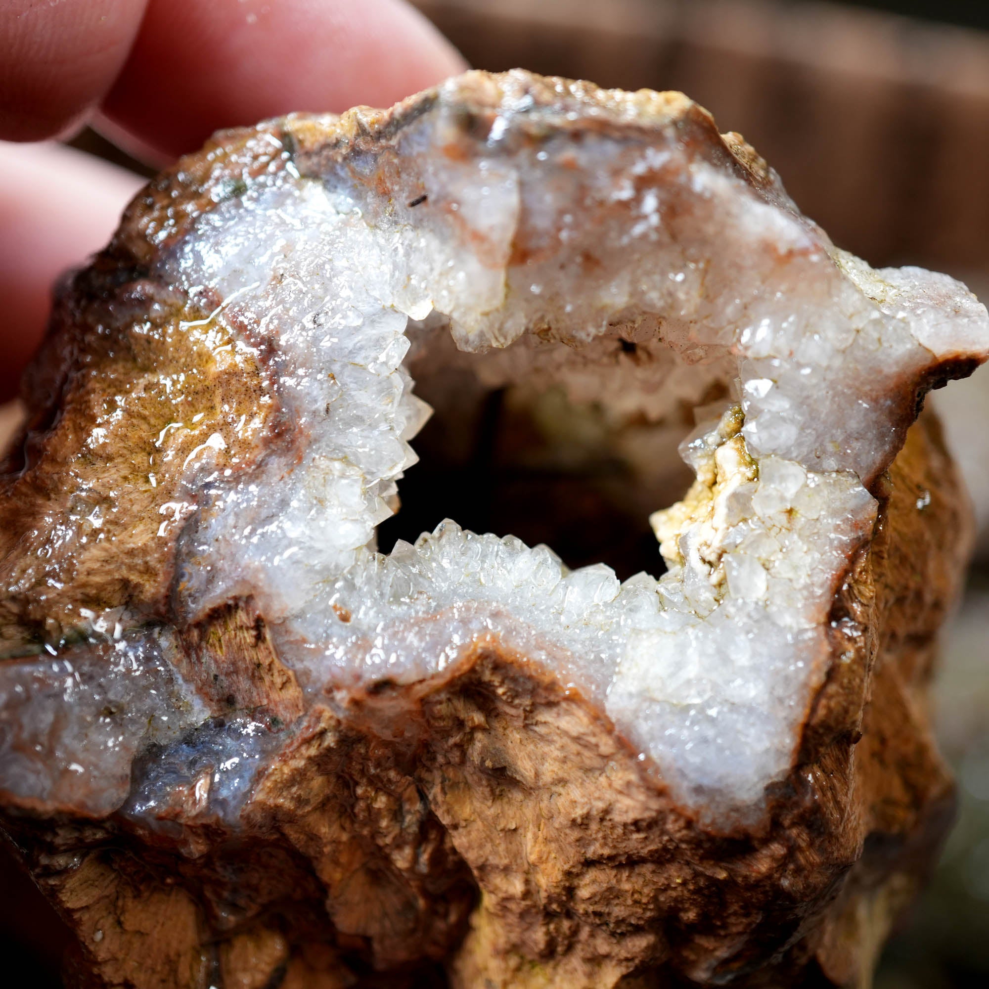 Old Stock Rare Mix Oregon Thunderegg Flatrate - Depleted Varieties