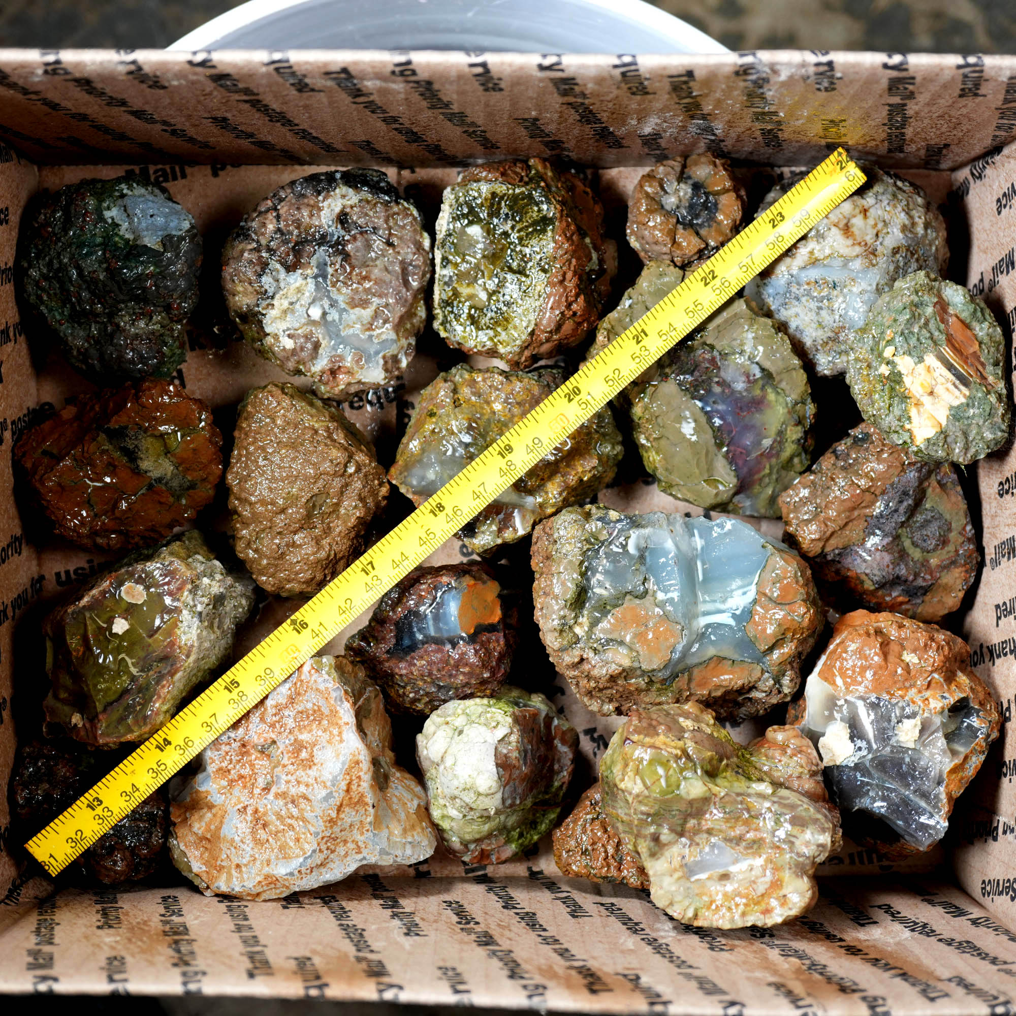 Old Stock Rare Mix Oregon Thunderegg Flatrate - Depleted Varieties