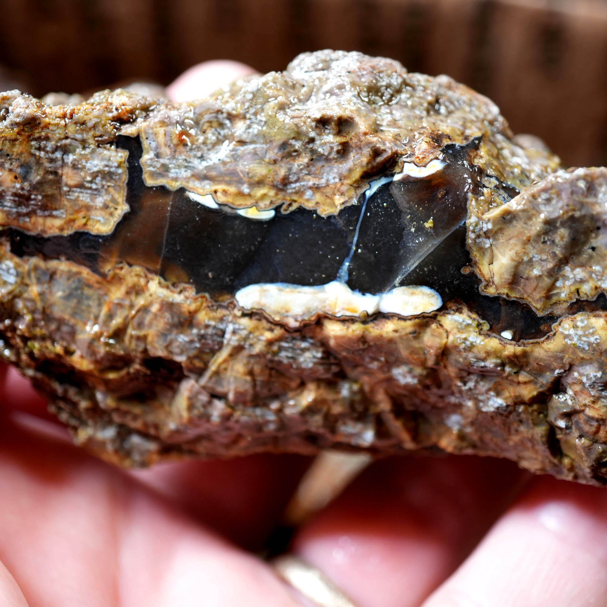 Old Stock Rare Mix Oregon Thunderegg Flatrate - Depleted Varieties