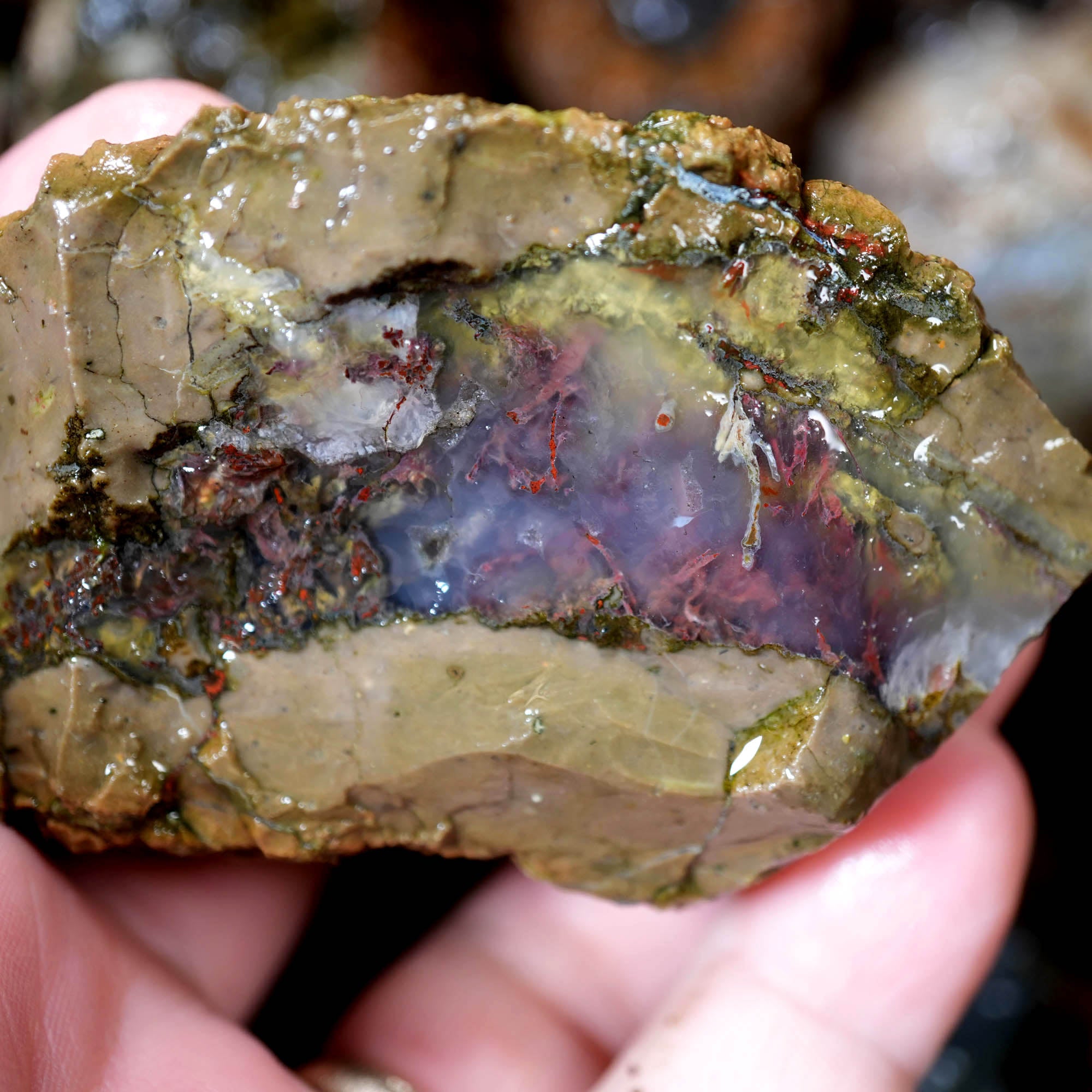 Old Stock Rare Mix Oregon Thunderegg Flatrate - Depleted Varieties