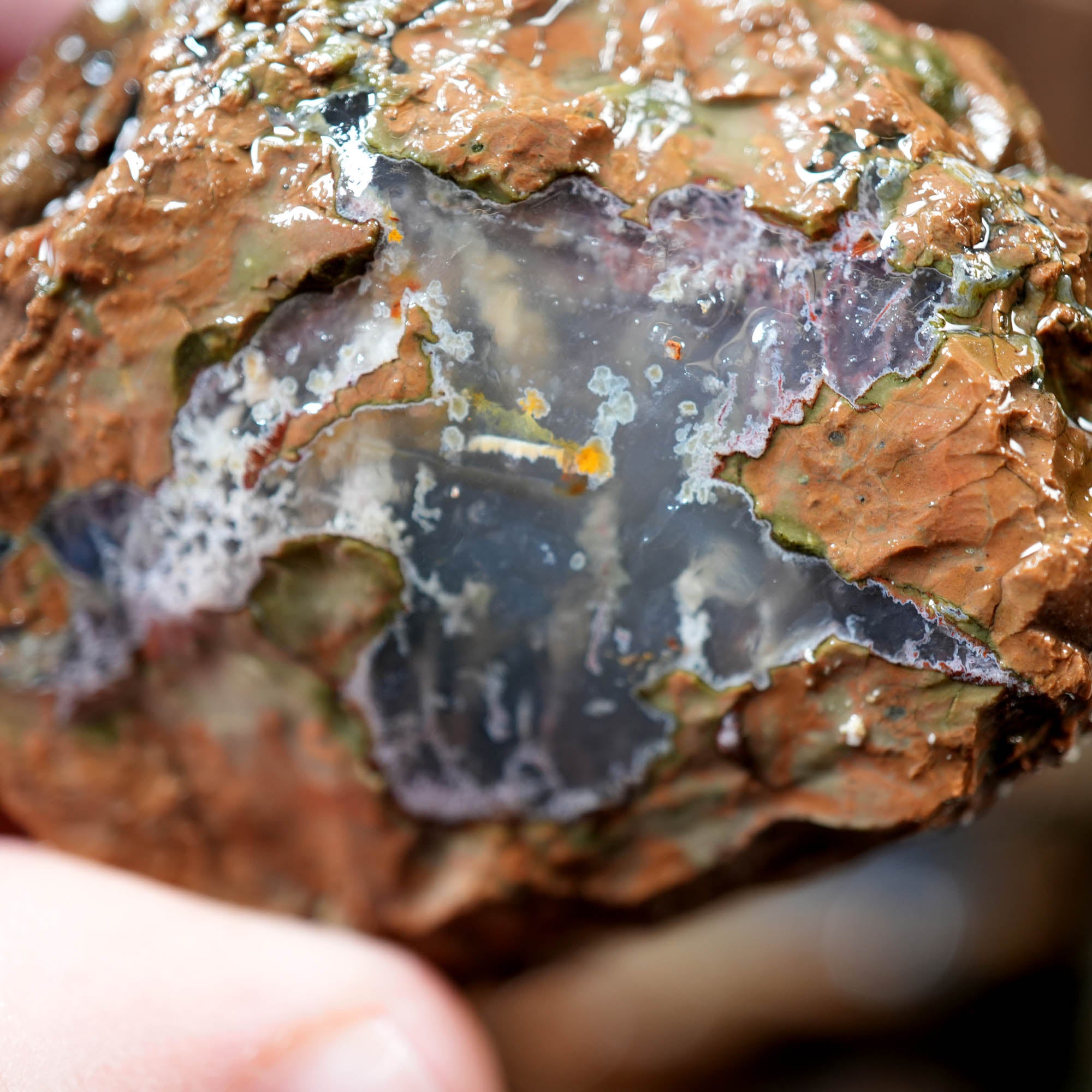 Old Stock Rare Mix Oregon Thunderegg Flatrate - Depleted Varieties