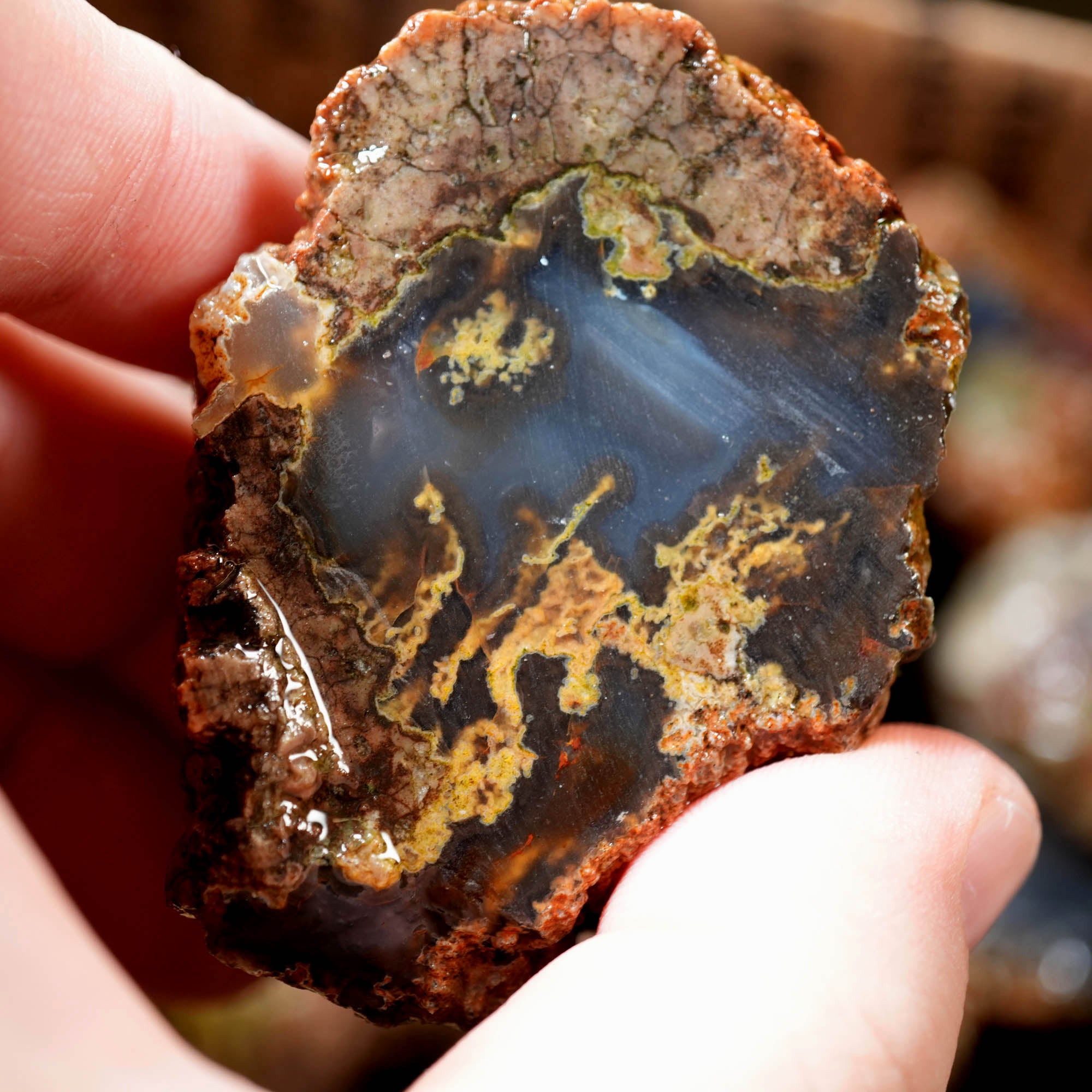 Old Stock Rare Mix Oregon Thunderegg Flatrate - Depleted Varieties