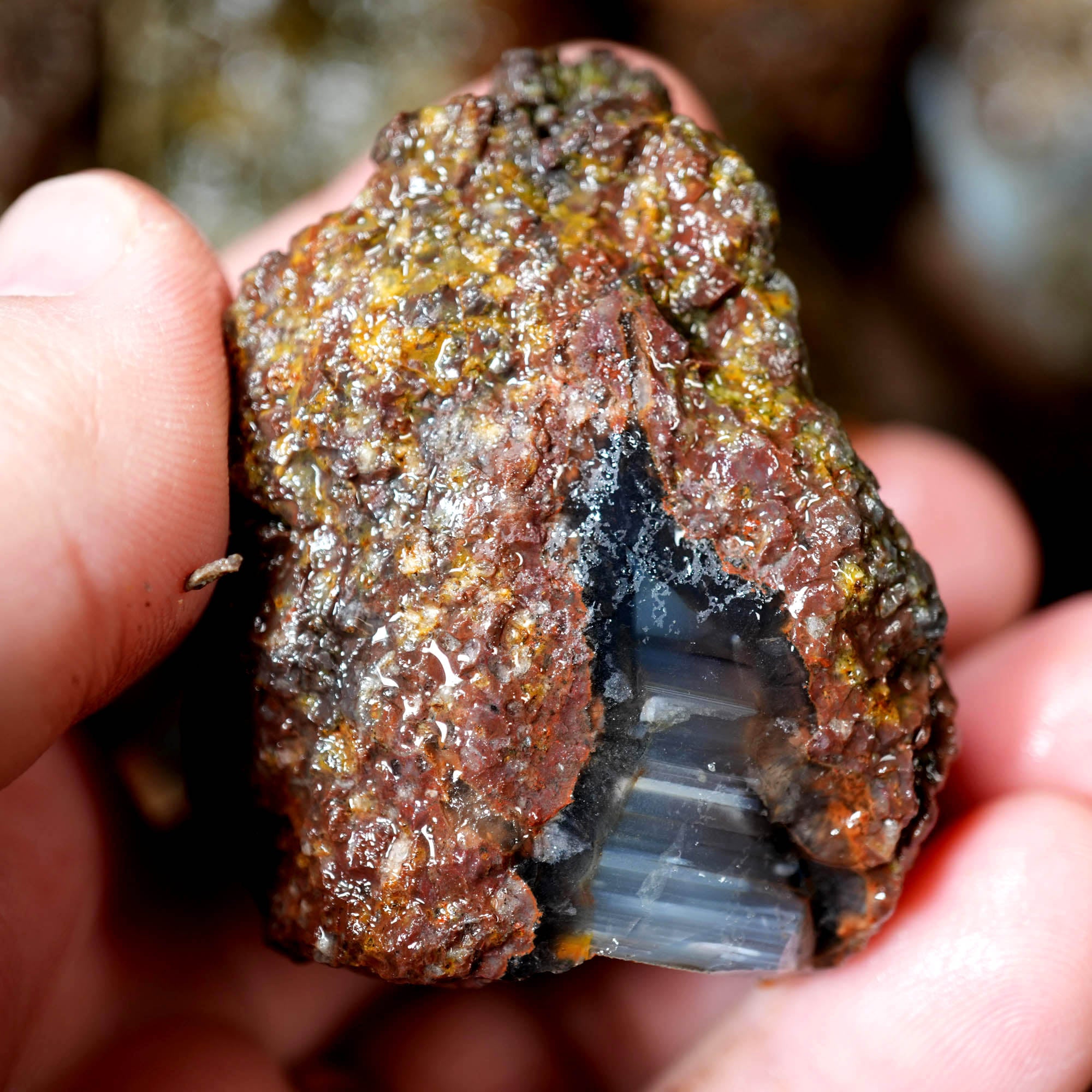 Old Stock Rare Mix Oregon Thunderegg Flatrate - Depleted Varieties