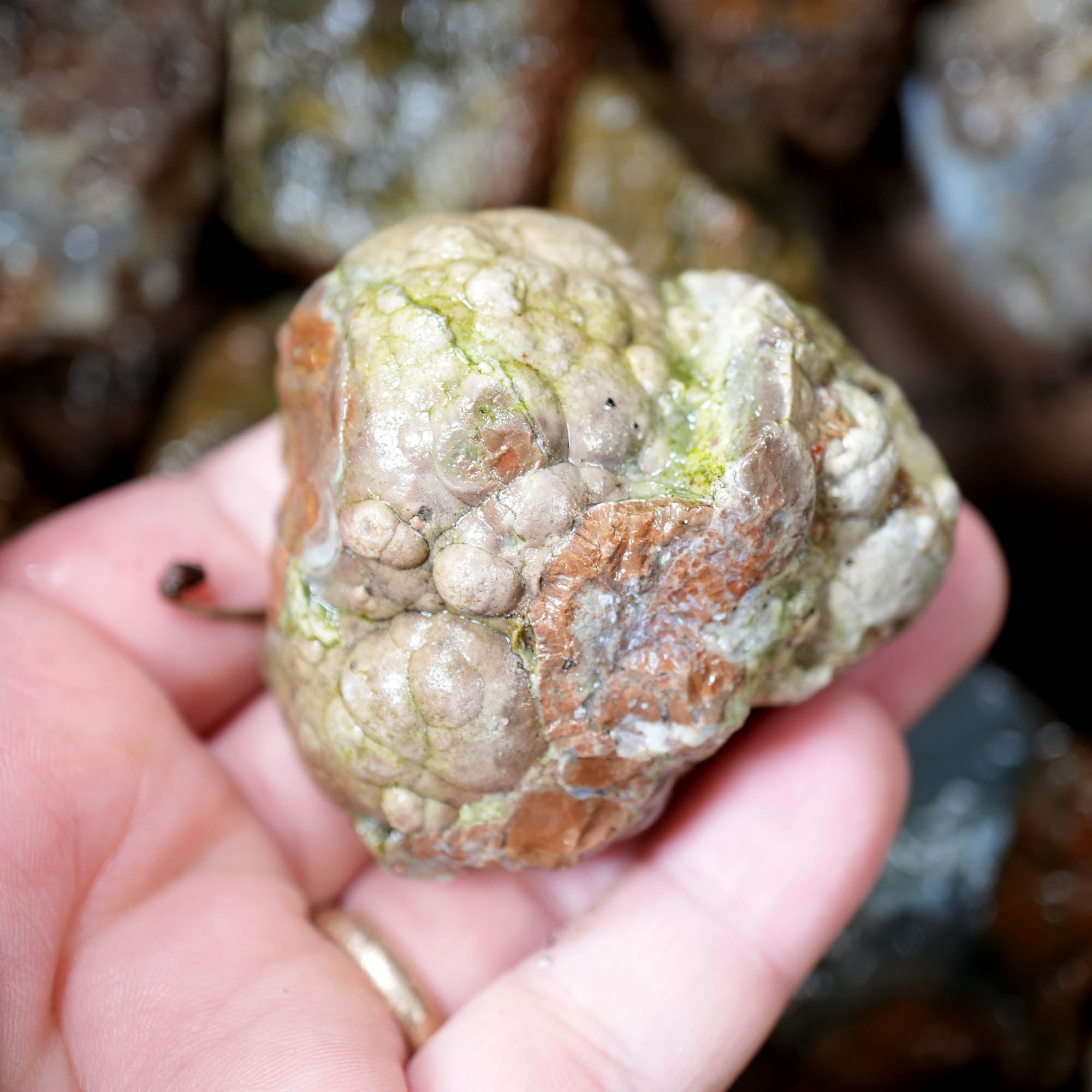 Old Stock Rare Mix Oregon Thunderegg Flatrate - Depleted Varieties