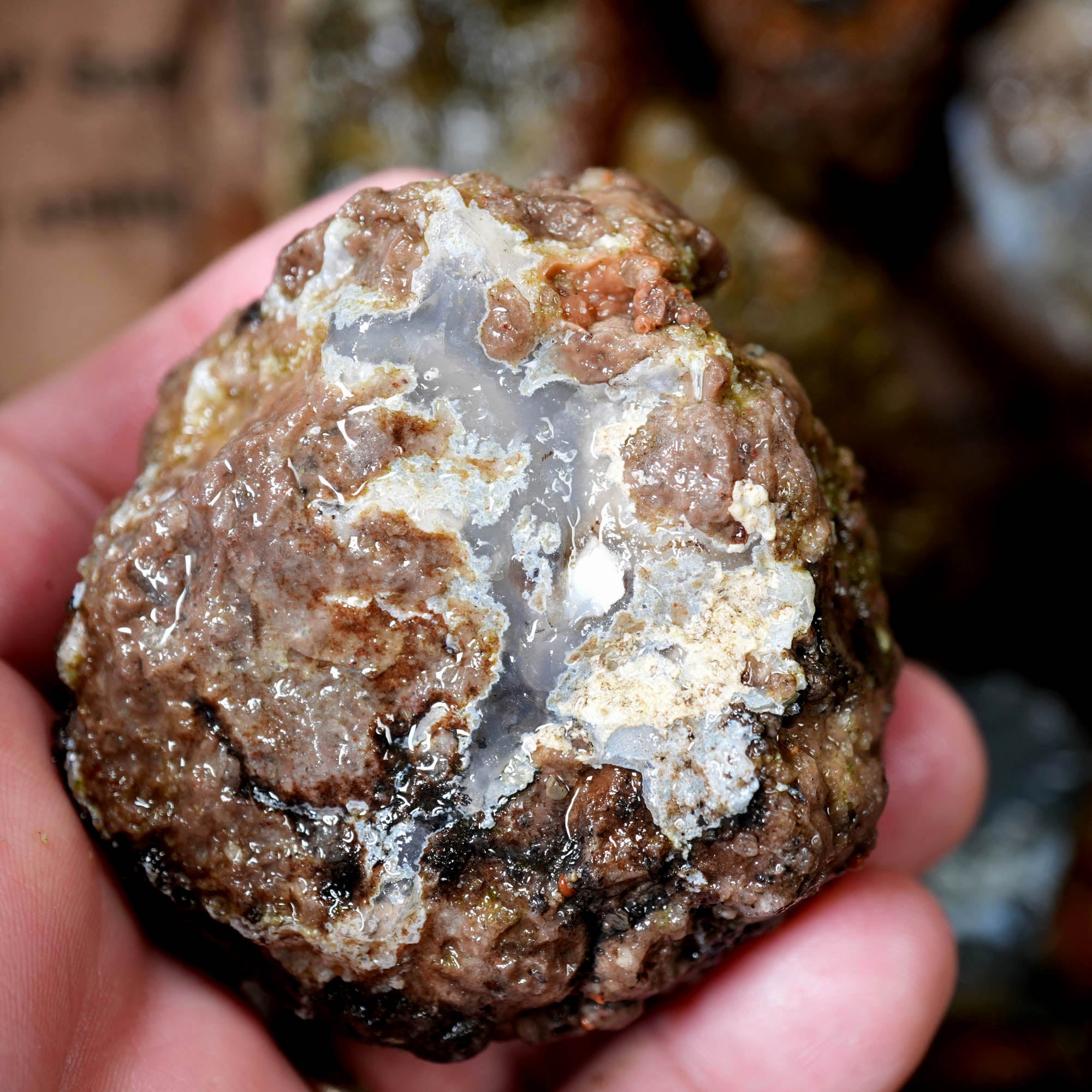 Old Stock Rare Mix Oregon Thunderegg Flatrate - Depleted Varieties