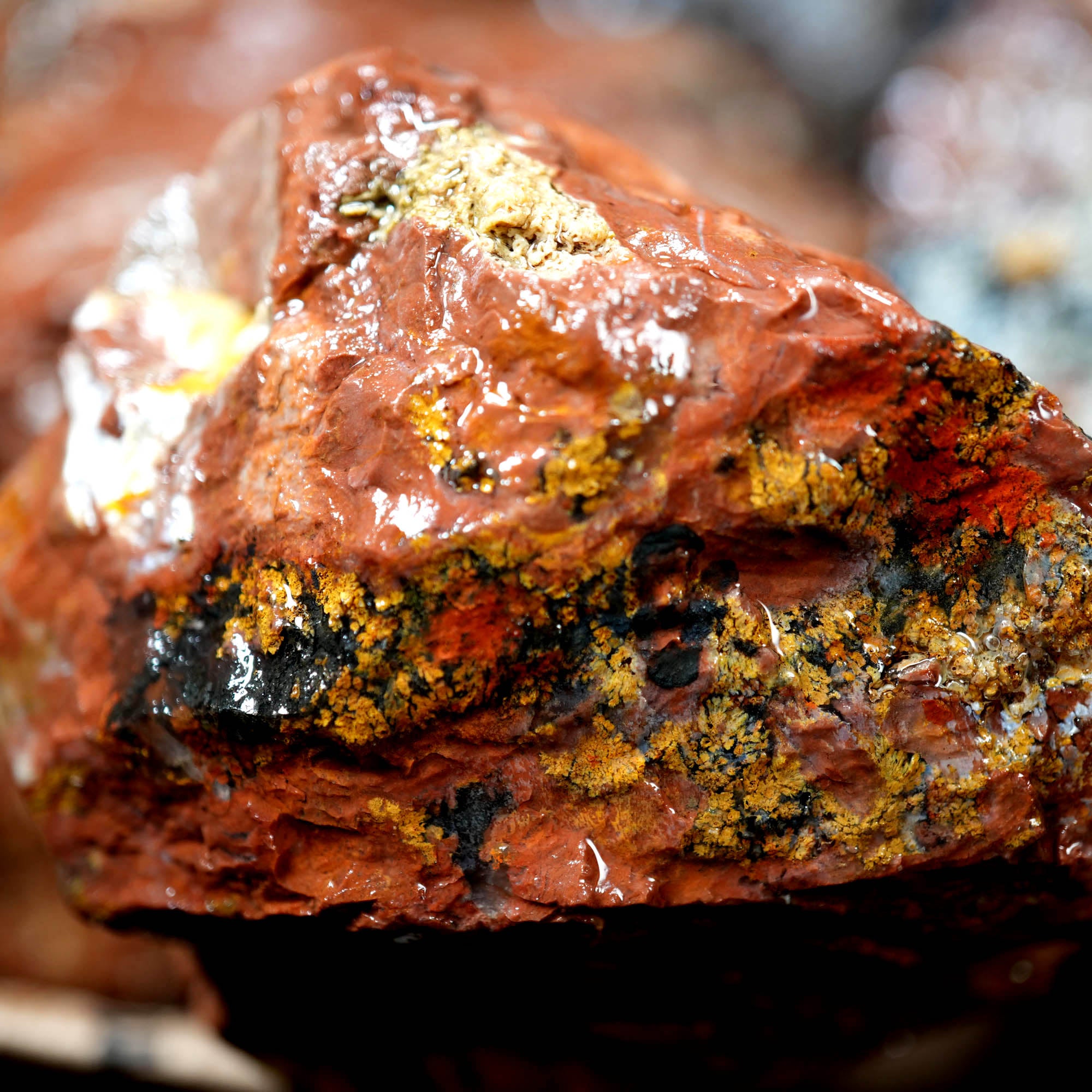 Eagle Rock Plume Agate Cutting Rough Box High Grade - Multi-Colored Plume