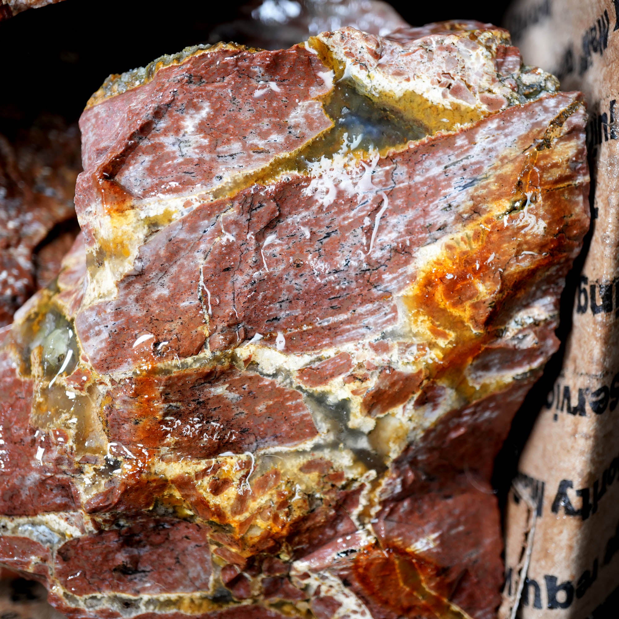 Eagle Rock Plume Agate Cutting Rough Box High Grade - Multi-Colored Plume