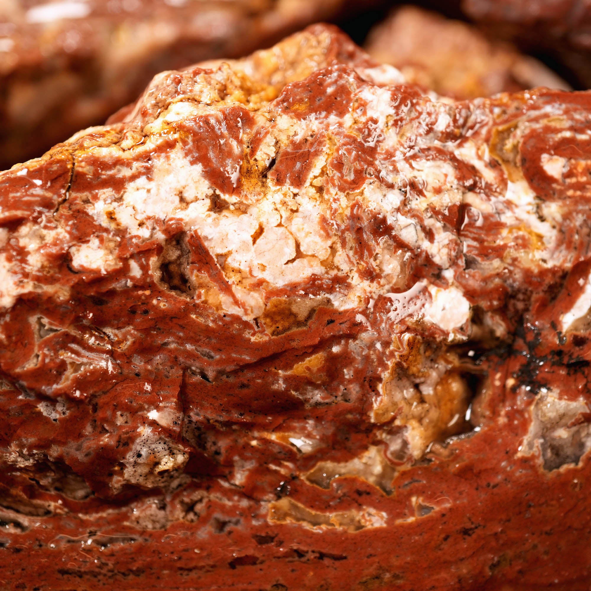 Eagle Rock Plume Agate Cutting Rough Box High Grade - Multi-Colored Plume