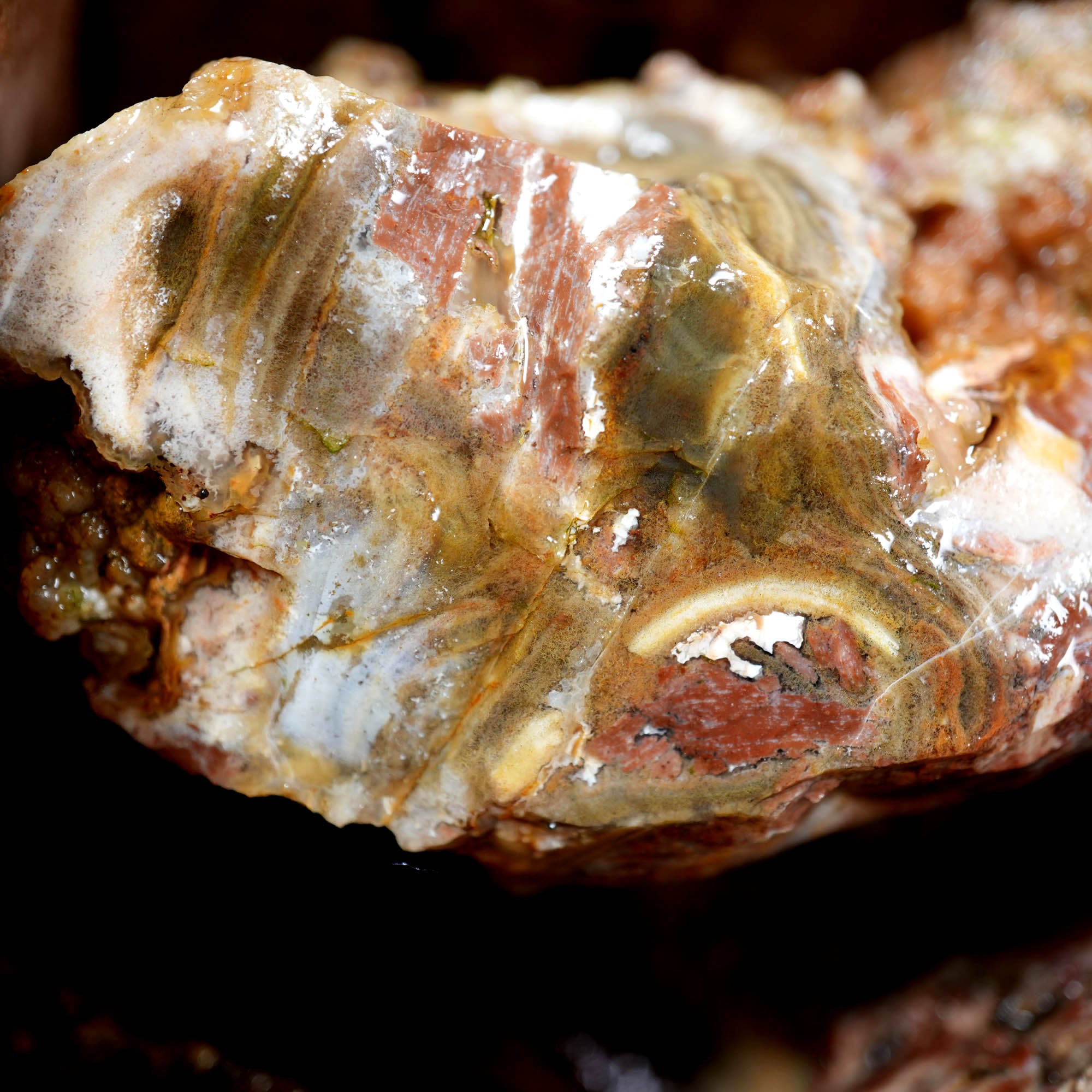 Eagle Rock Plume Agate Cutting Rough Box High Grade - Multi-Colored Plume