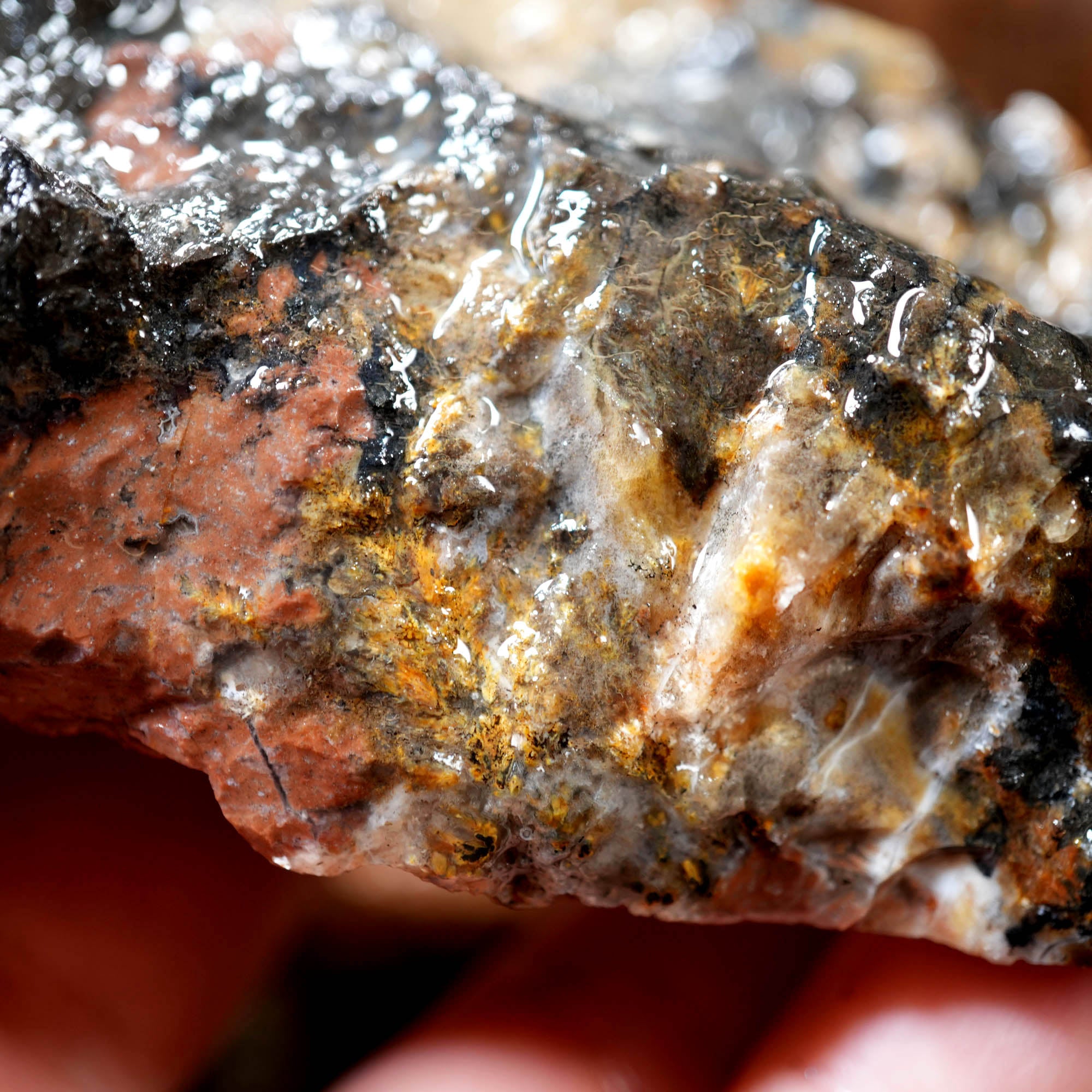 Eagle Rock Plume Agate Cutting Rough Box High Grade - Multi-Colored Plume