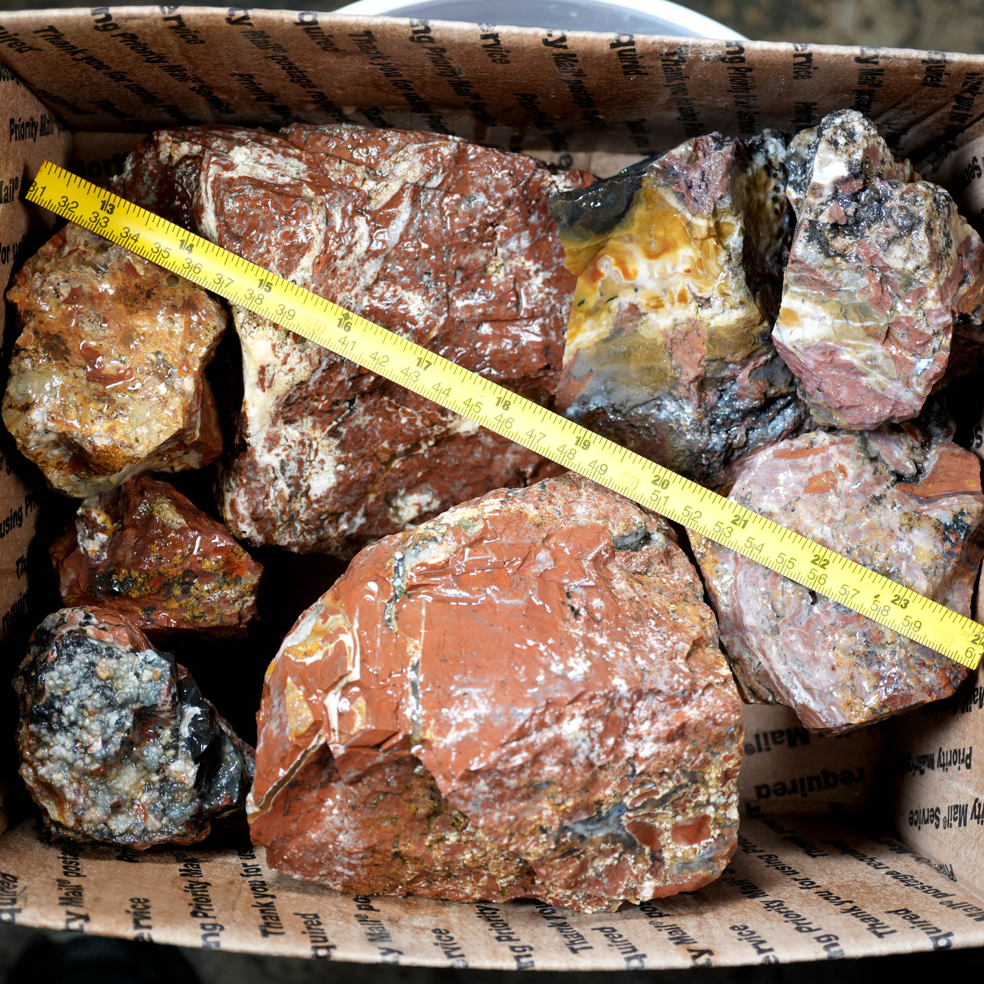 Eagle Rock Plume Agate Cutting Rough Box High Grade - Multi-Colored Plume