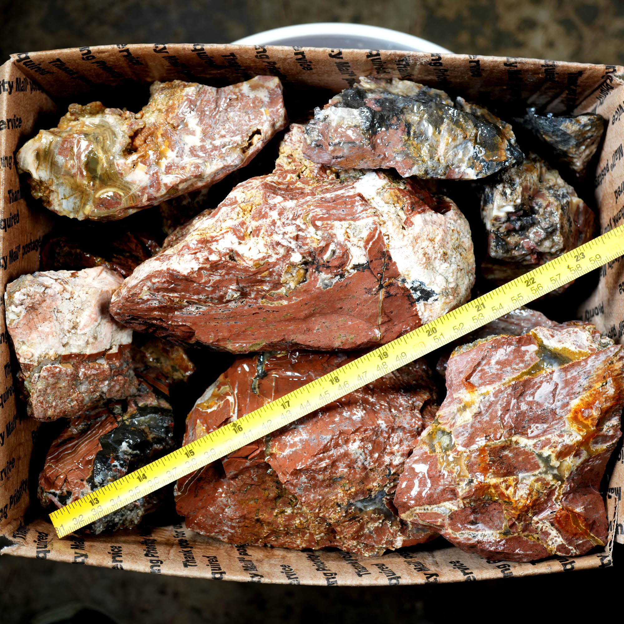 Eagle Rock Plume Agate Cutting Rough Box High Grade - Multi-Colored Plume