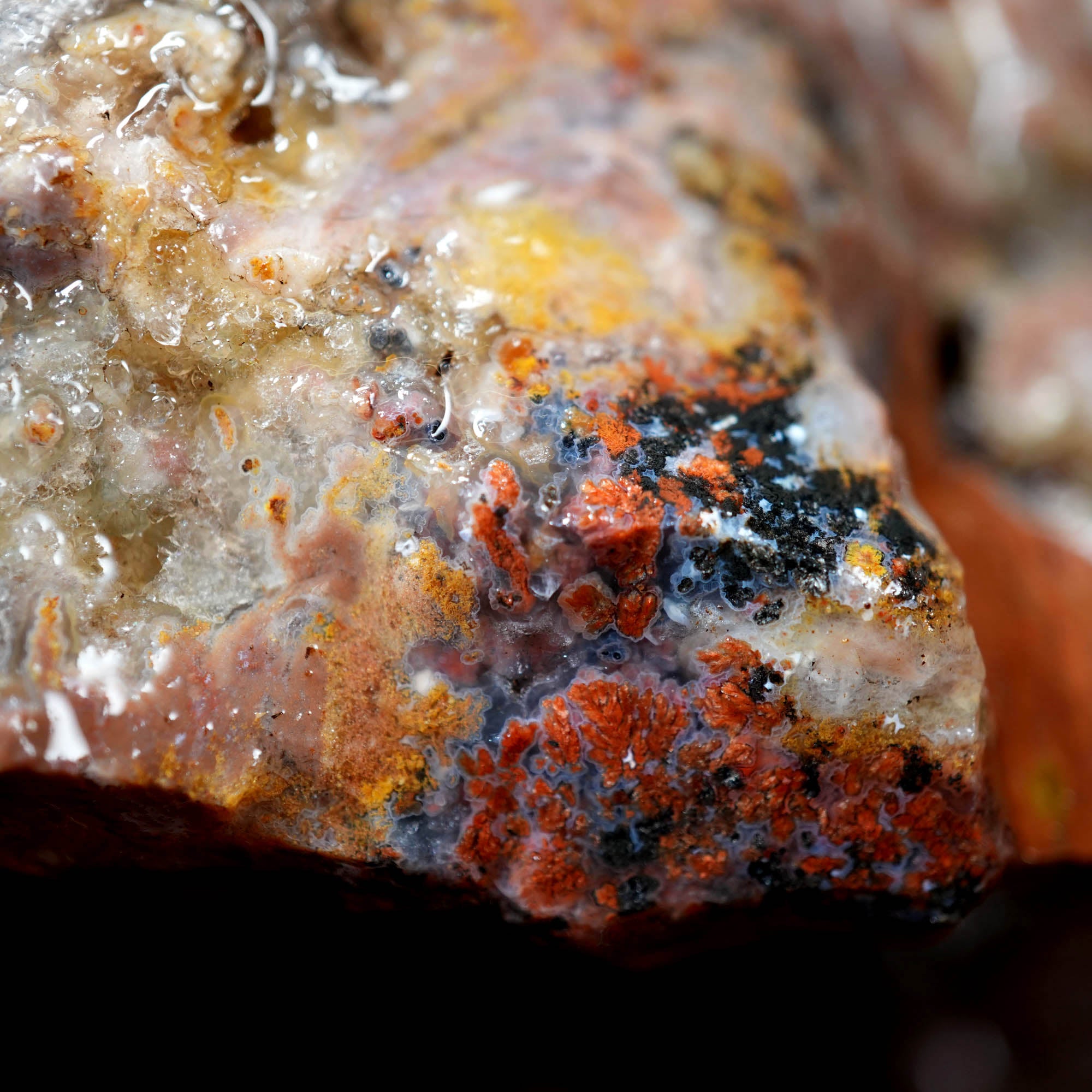 Eagle Rock Plume Agate Cutting Rough Box High Grade - Multi-Colored Plume