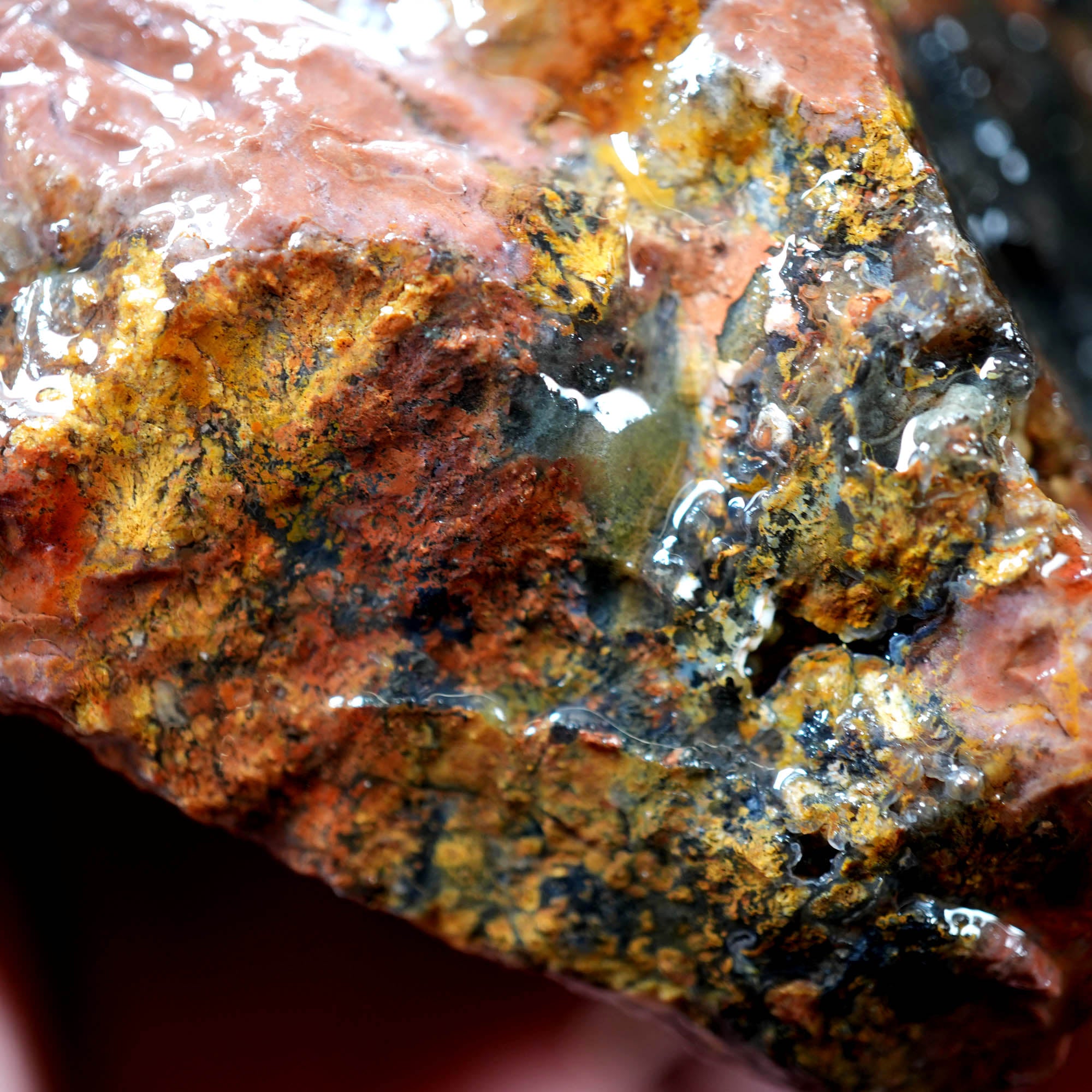 Eagle Rock Plume Agate Cutting Rough Box High Grade - Multi-Colored Plume