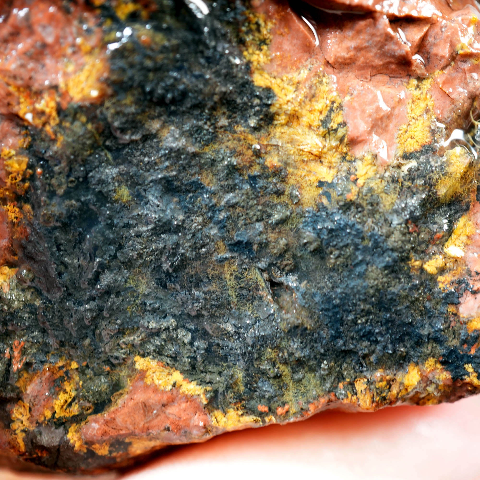 Eagle Rock Plume Agate Cutting Rough Box High Grade - Multi-Colored Plume