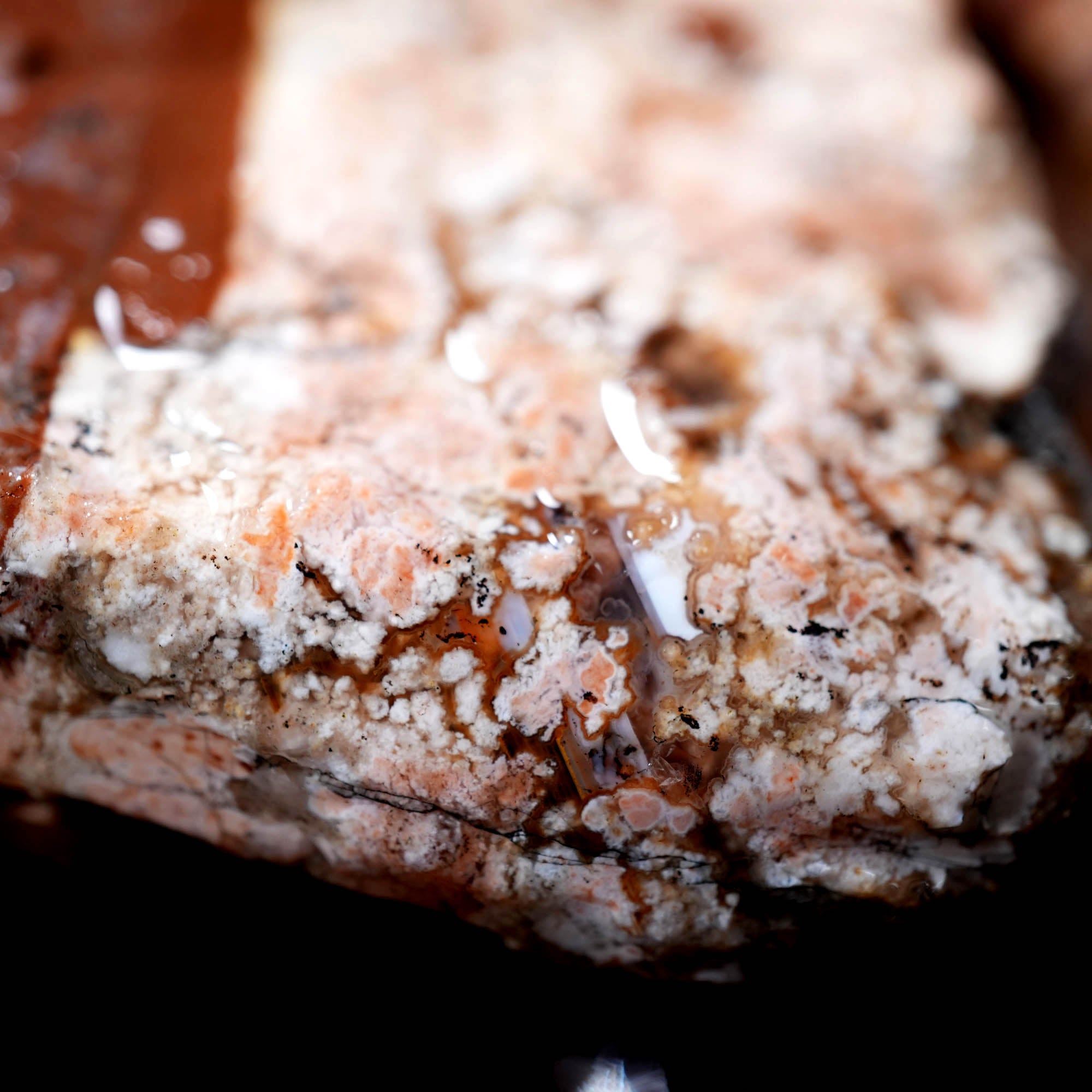 Eagle Rock Plume Agate Cutting Rough Box High Grade - Multi-Colored Plume