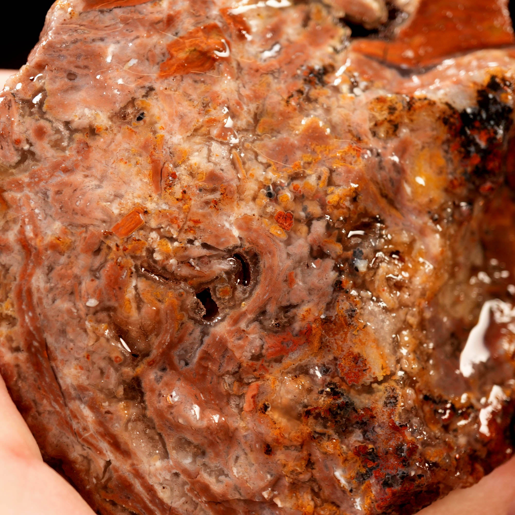 Eagle Rock Plume Agate Cutting Rough Box High Grade - Multi-Colored Plume