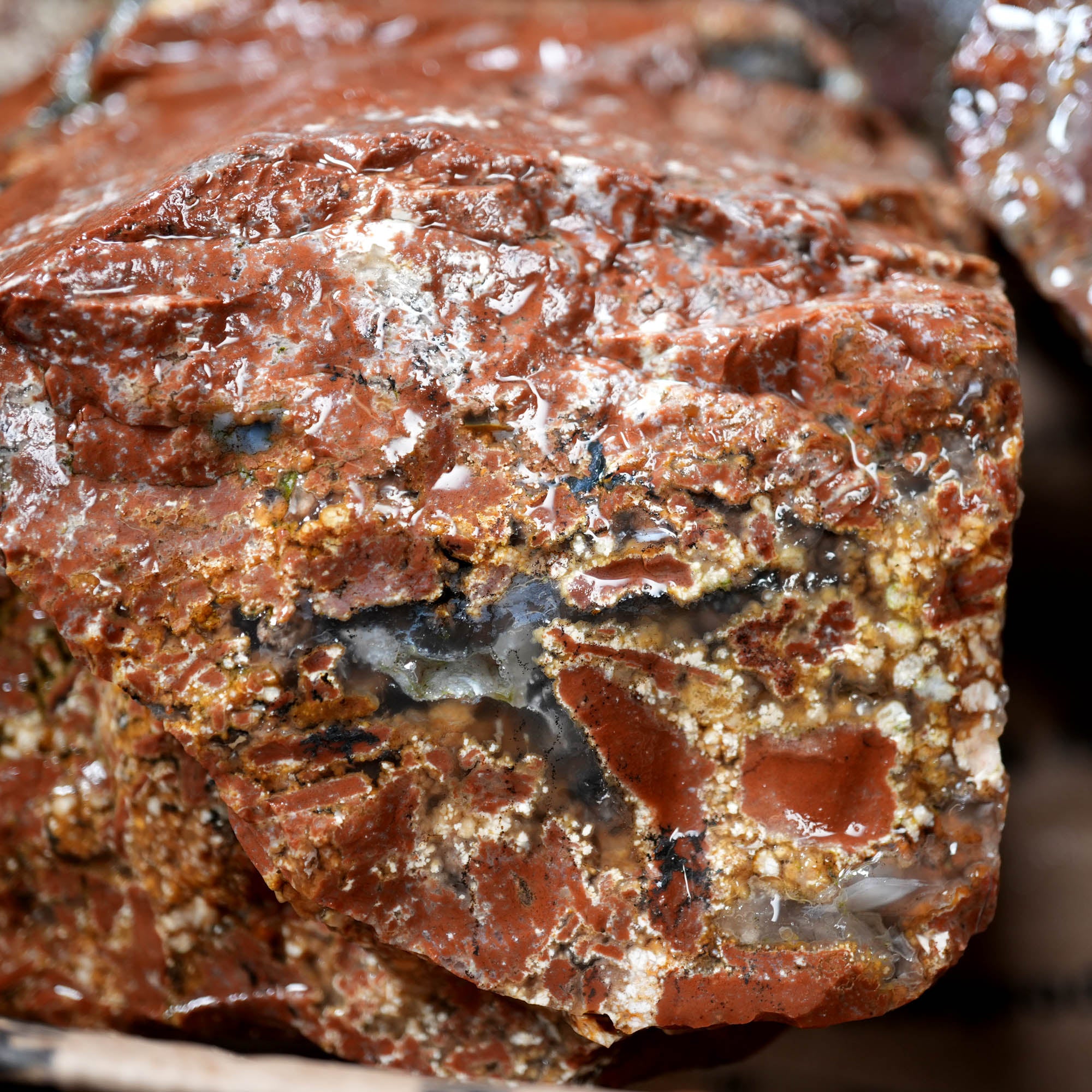Eagle Rock Plume Agate Cutting Rough Box High Grade - Multi-Colored Plume