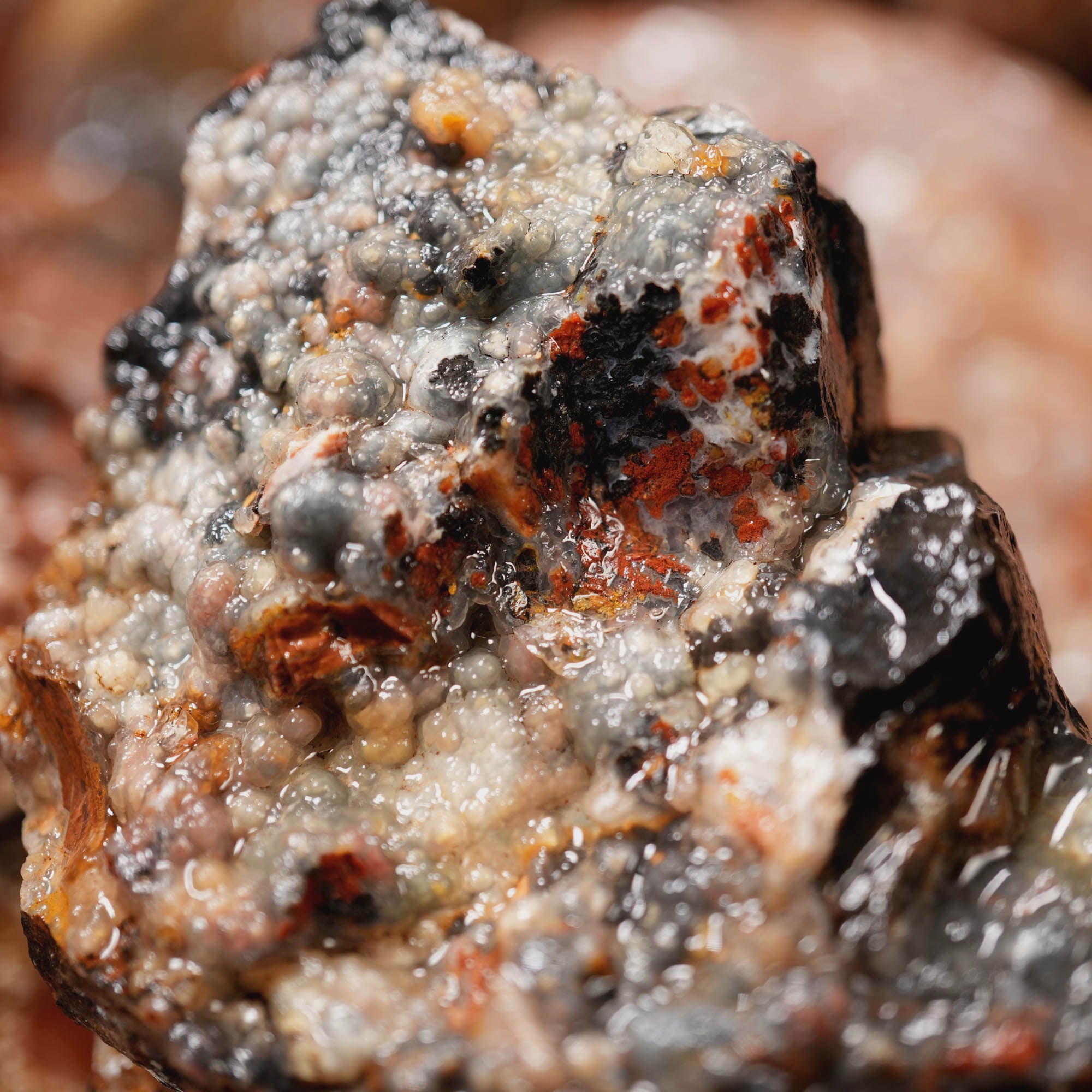 Eagle Rock Plume Agate Cutting Rough Box High Grade - Multi-Colored Plume