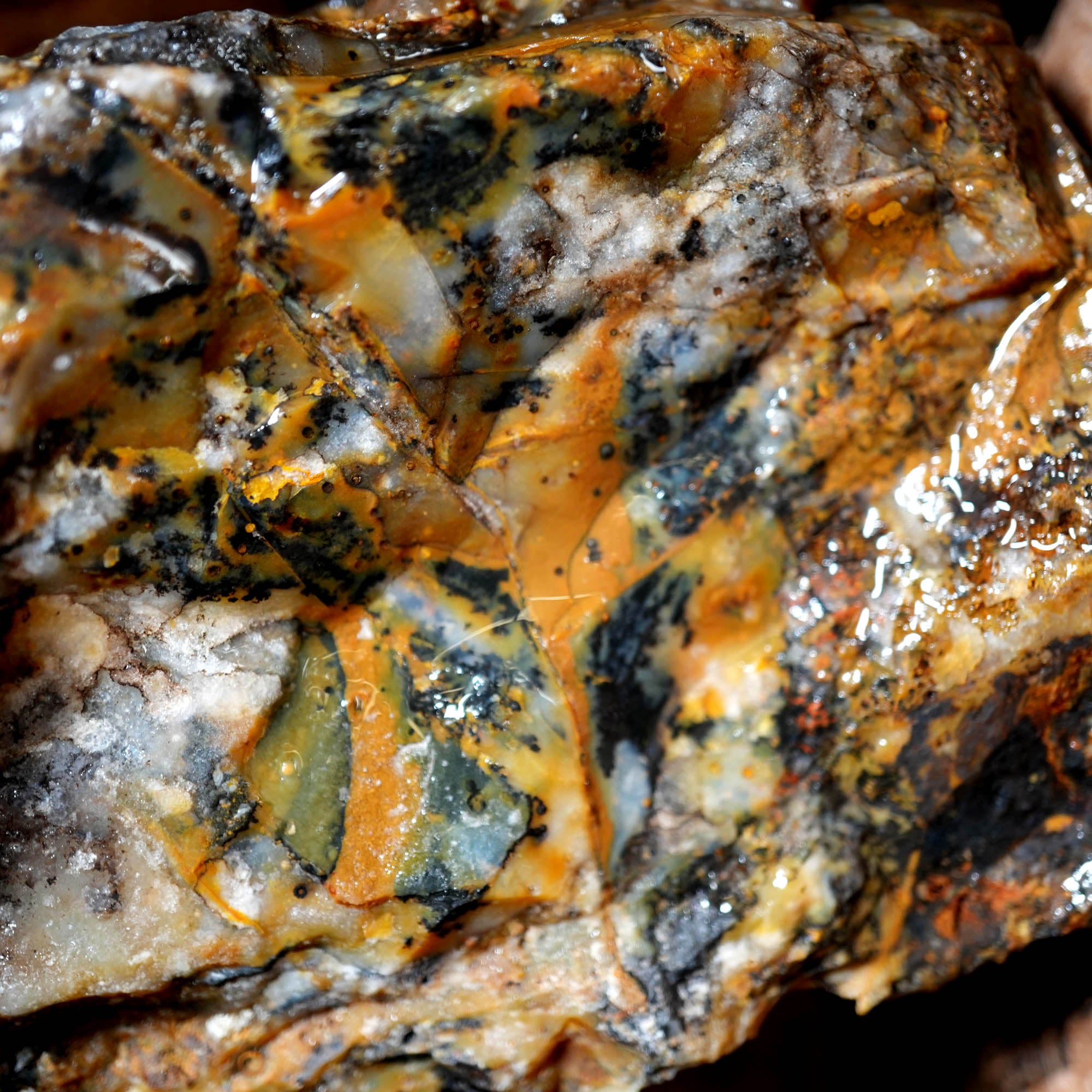 Ochoco Sunset Jasper Agate Flatrate Rough - Sunset and Oolitic Patterns