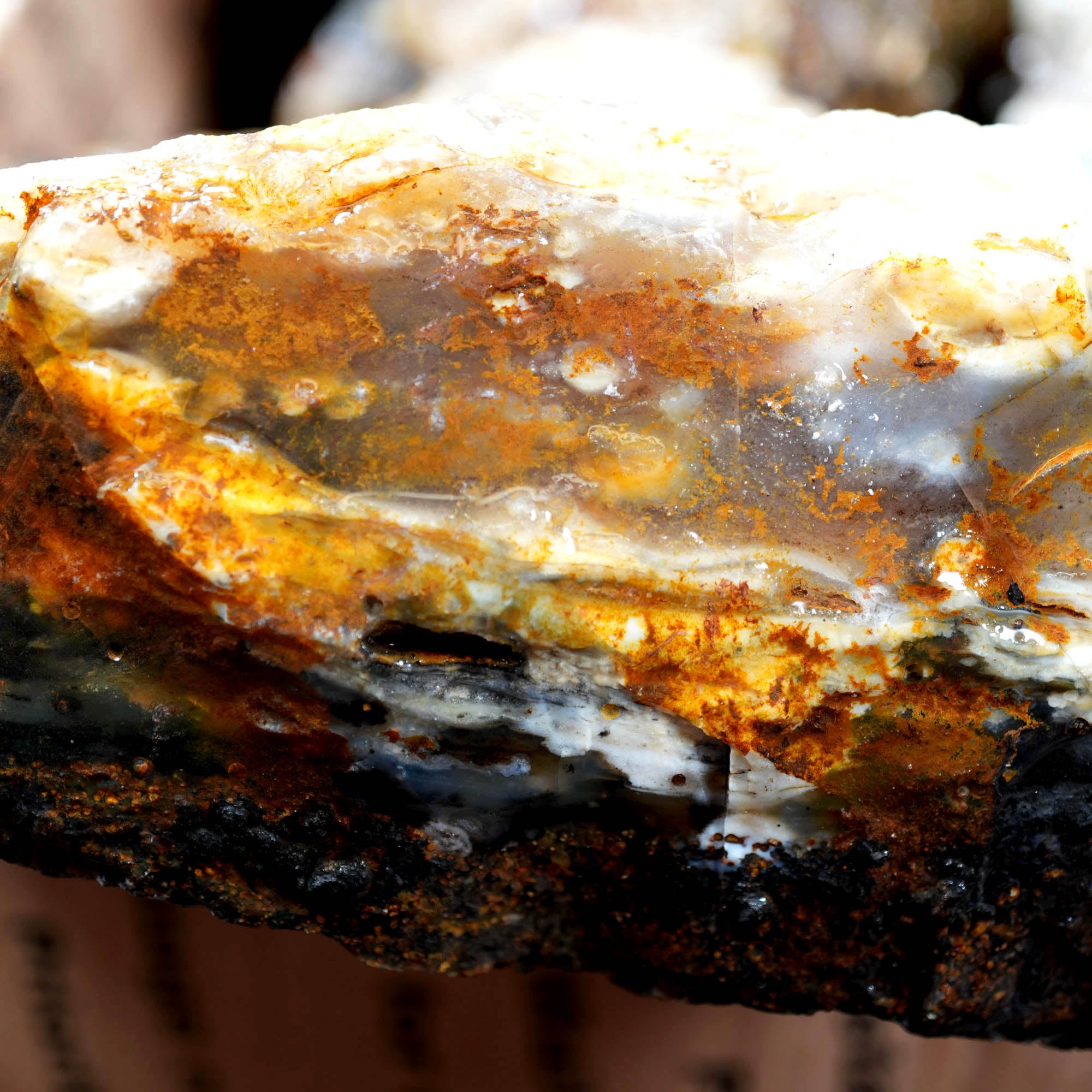 Ochoco Sunset Jasper Agate Flatrate Rough - Sunset and Oolitic Patterns