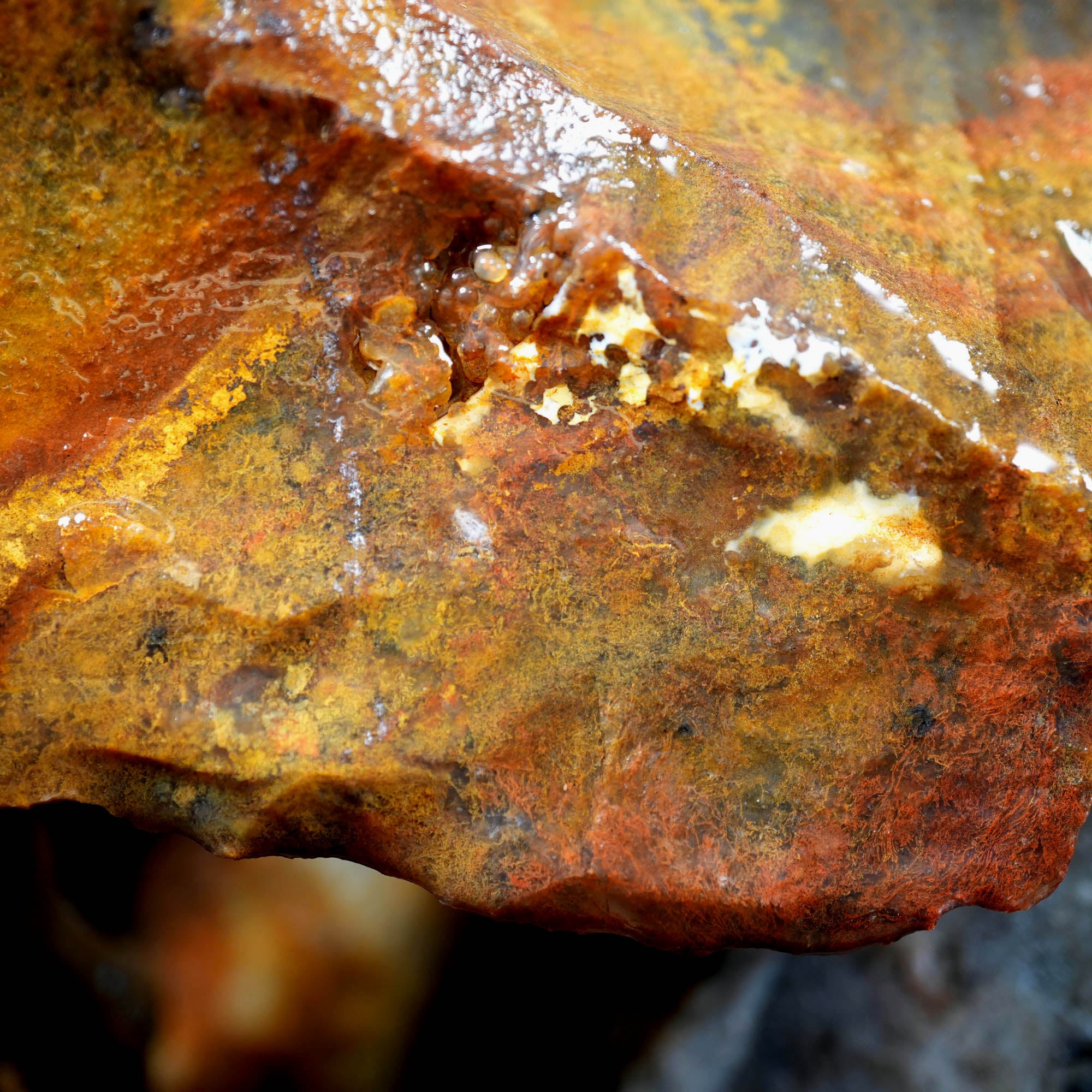 Ochoco Sunset Jasper Agate Flatrate Rough - Sunset and Oolitic Patterns