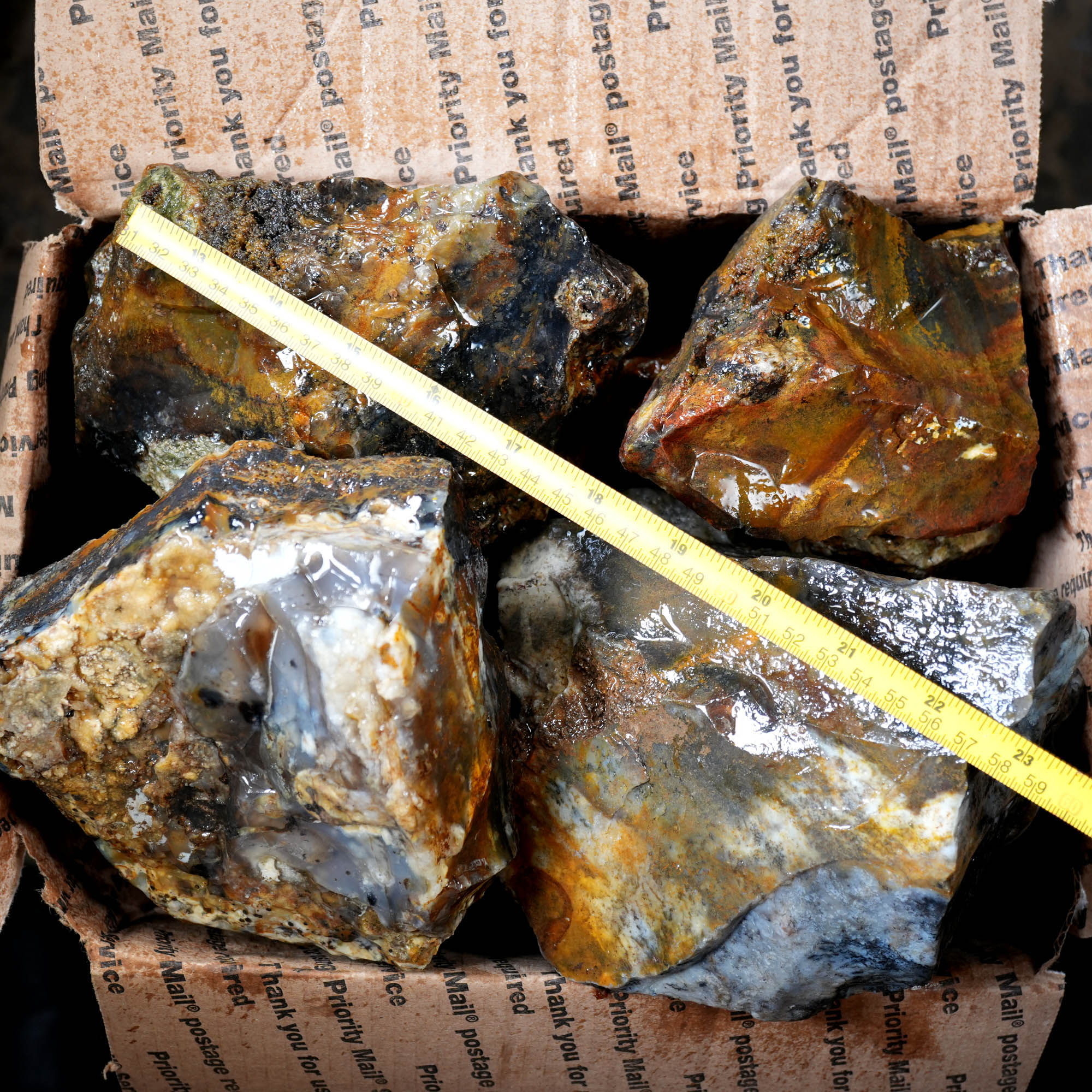 Ochoco Sunset Jasper Agate Flatrate Rough - Sunset and Oolitic Patterns