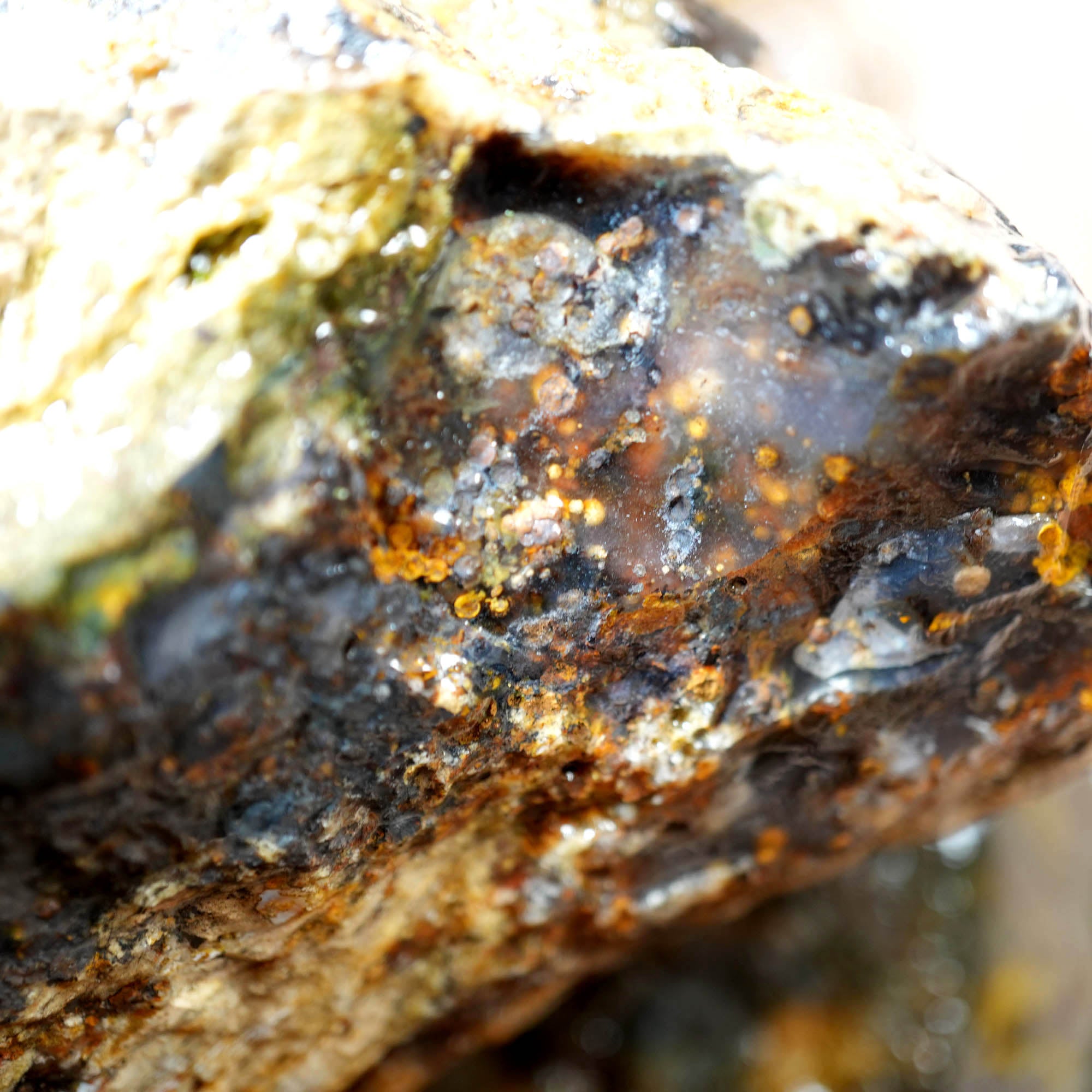 Ochoco Sunset Jasper Agate Flatrate Rough - Sunset and Oolitic Patterns