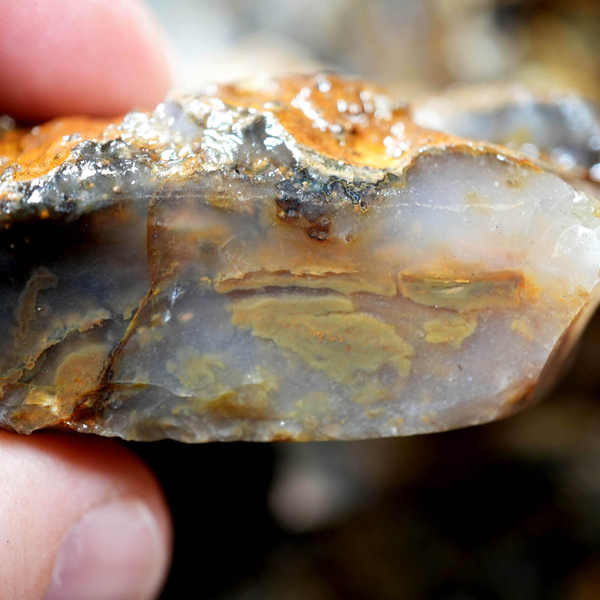 Ochoco Sunset Jasper Agate Flatrate Rough - Sunset and Oolitic Patterns