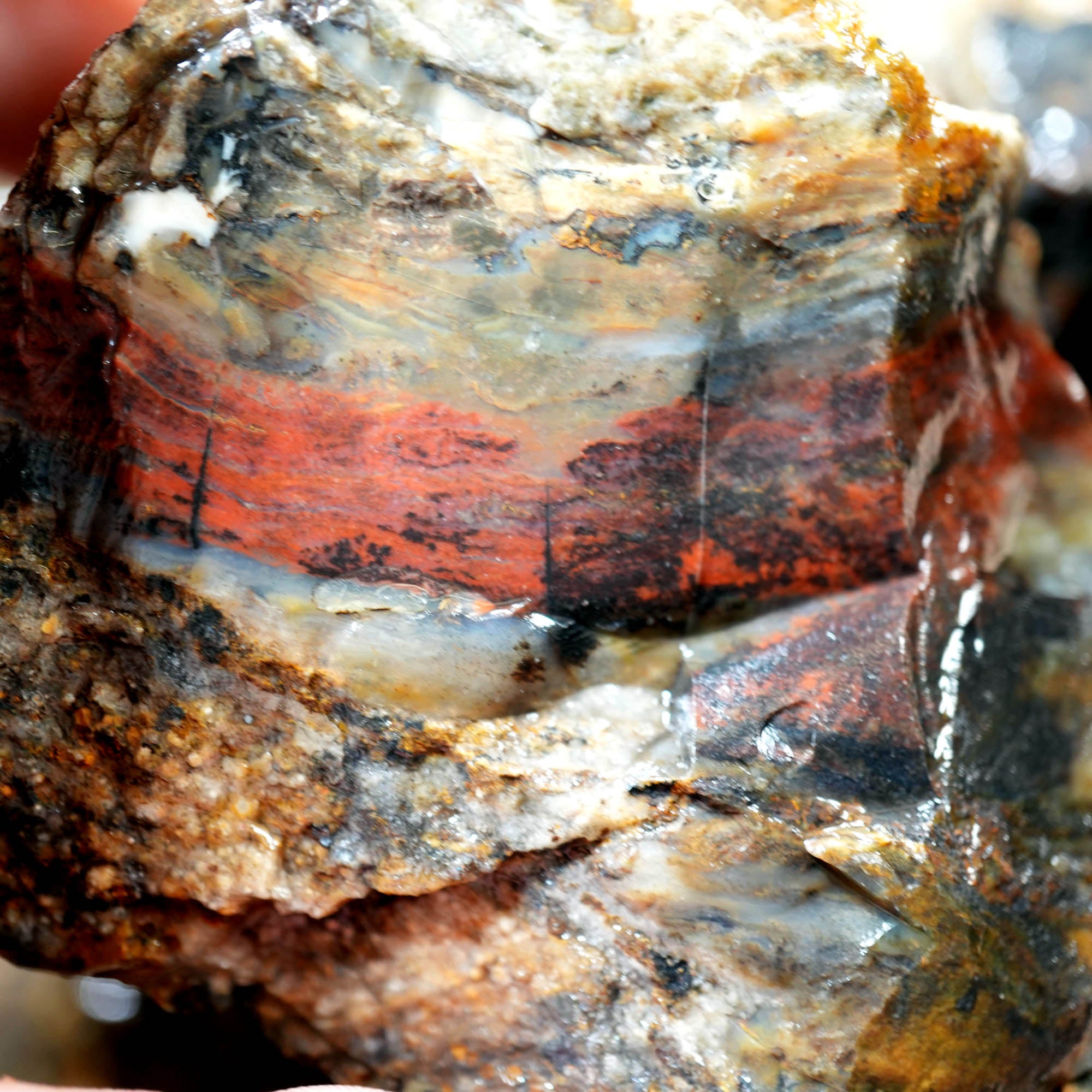 Ochoco Sunset Jasper Agate Flatrate Rough - Sunset and Oolitic Patterns
