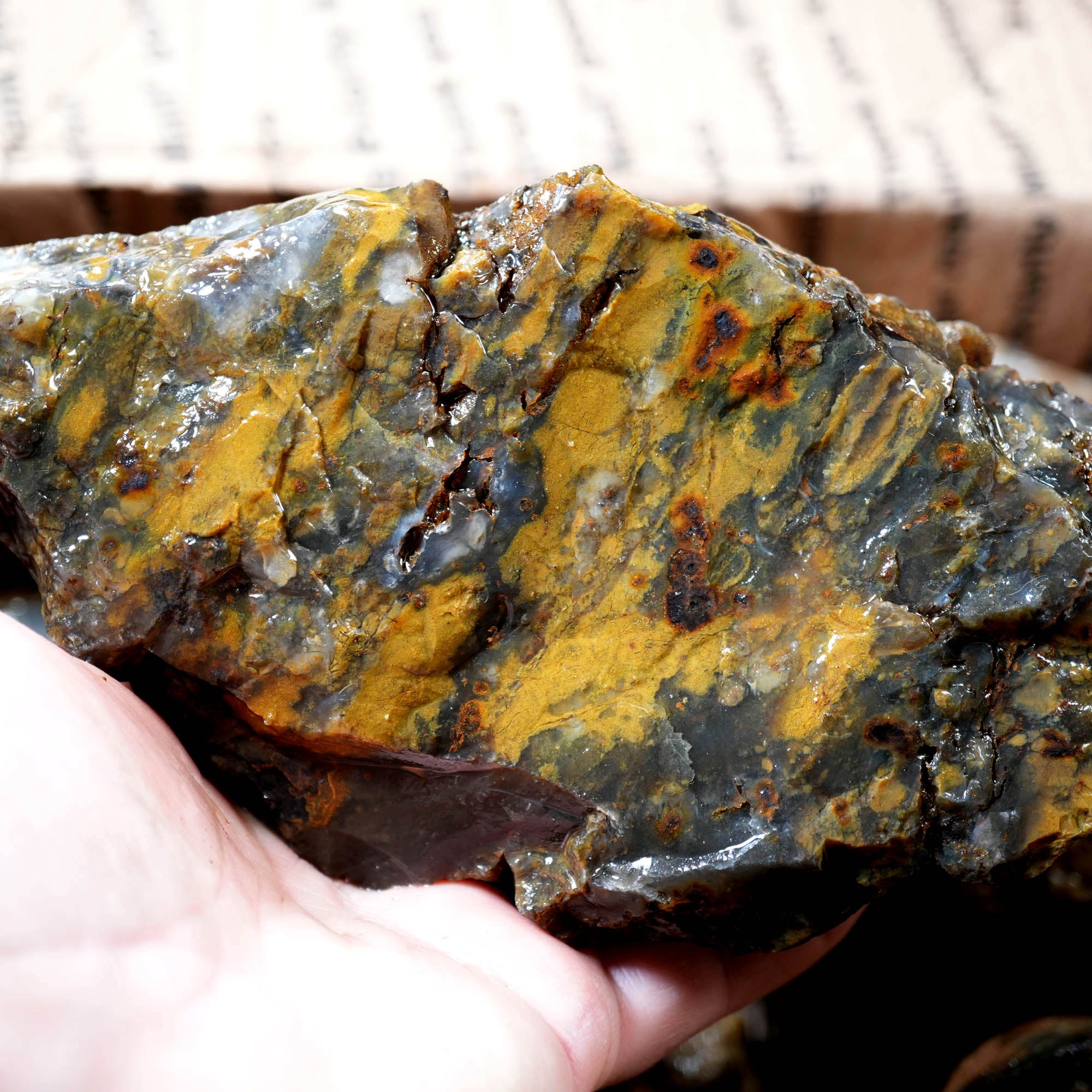 Ochoco Sunset Jasper Agate Flatrate Rough - Sunset and Oolitic Patterns