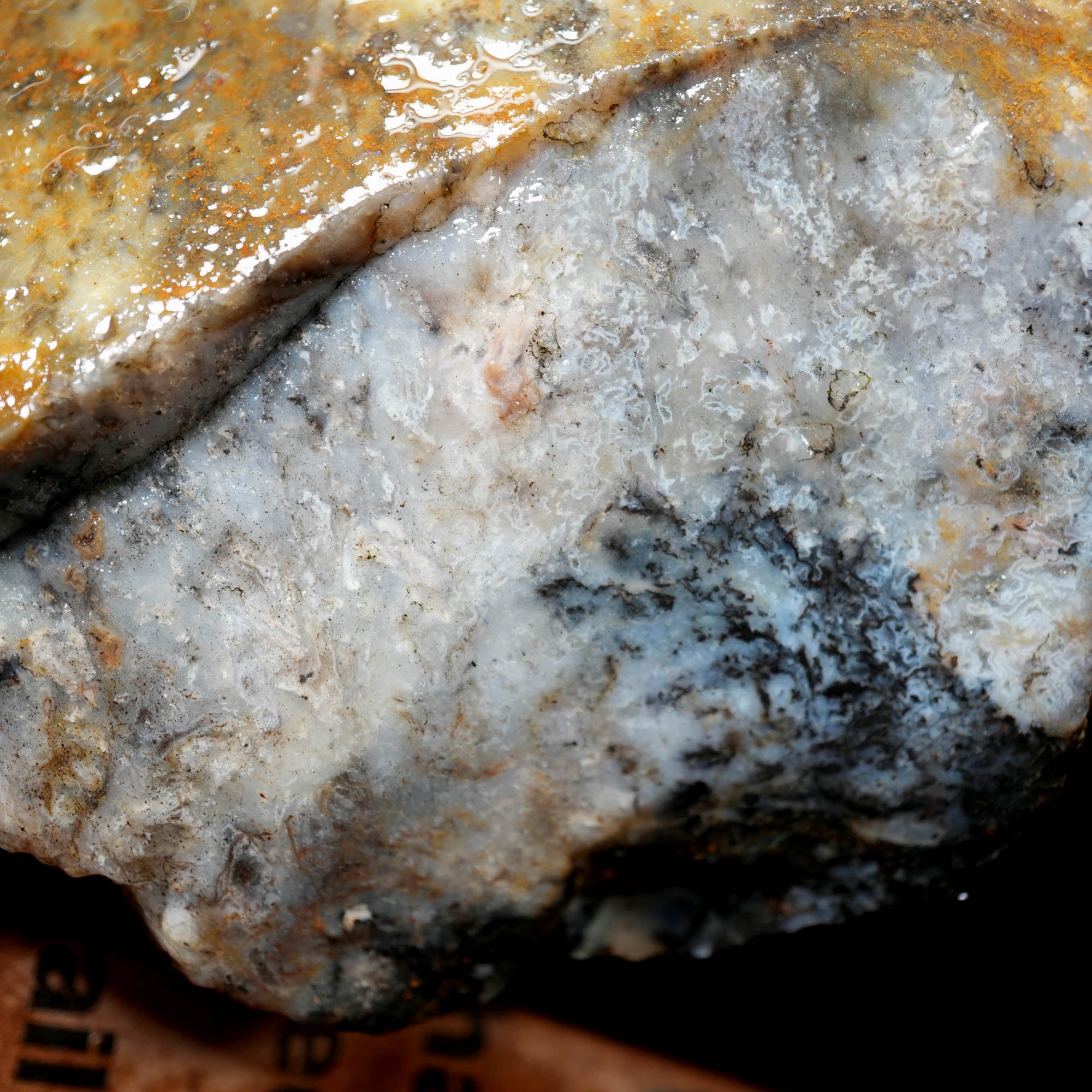 Ochoco Sunset Jasper Agate Flatrate Rough - Sunset and Oolitic Patterns