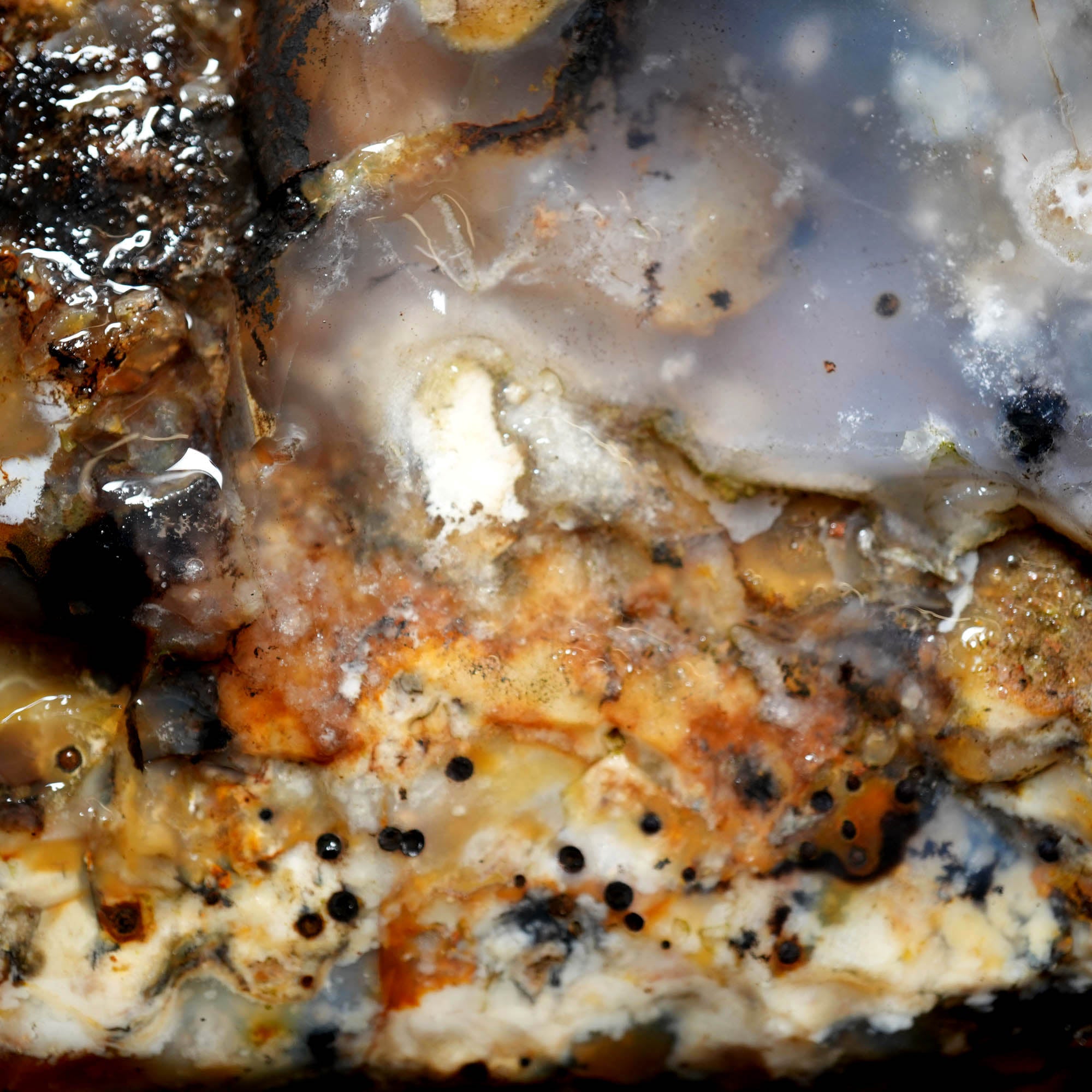 Ochoco Sunset Jasper Agate Flatrate Rough - Sunset and Oolitic Patterns