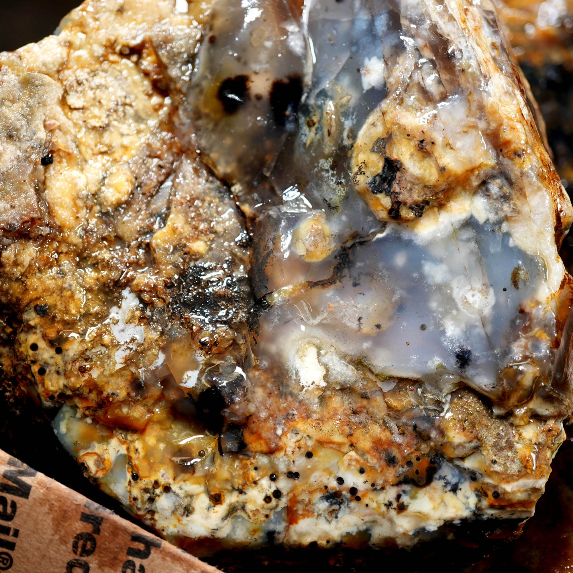 Ochoco Sunset Jasper Agate Flatrate Rough - Sunset and Oolitic Patterns