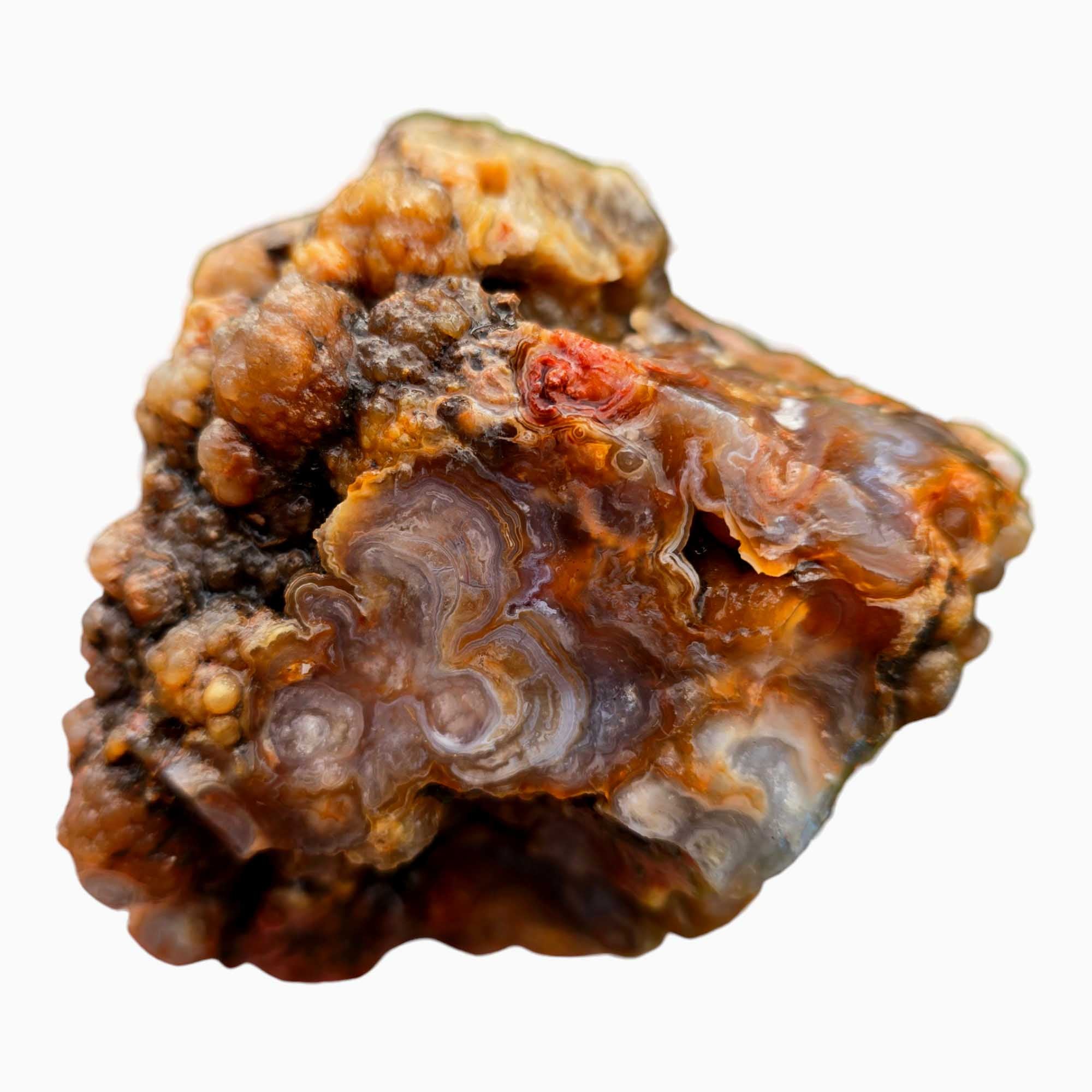 Fire Horizon Lace Agate Lapidary Cutting Rough Chunk Stone Cut Face