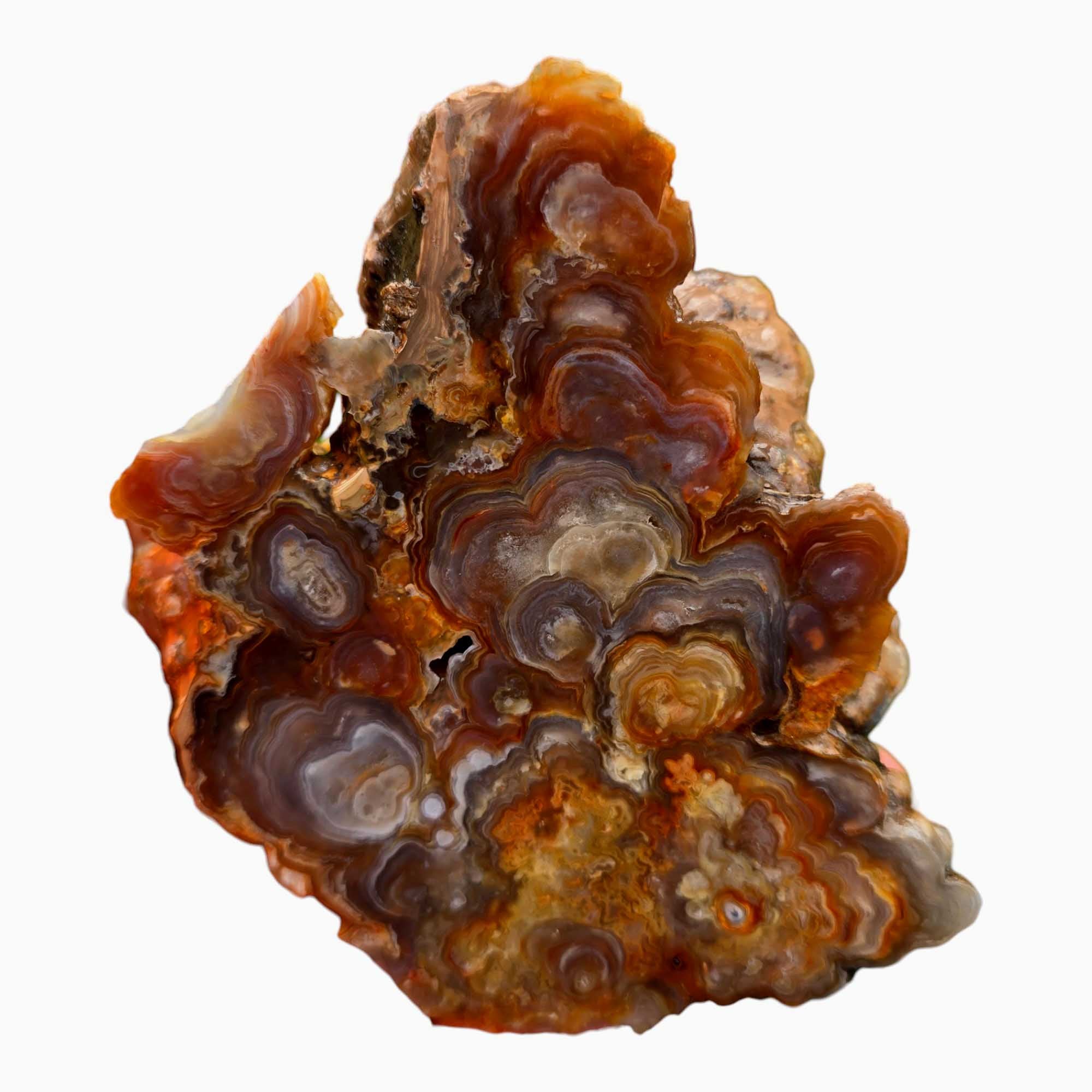Fire Horizon Lace Agate Lapidary Cutting Rough Chunk Stone Cut Face