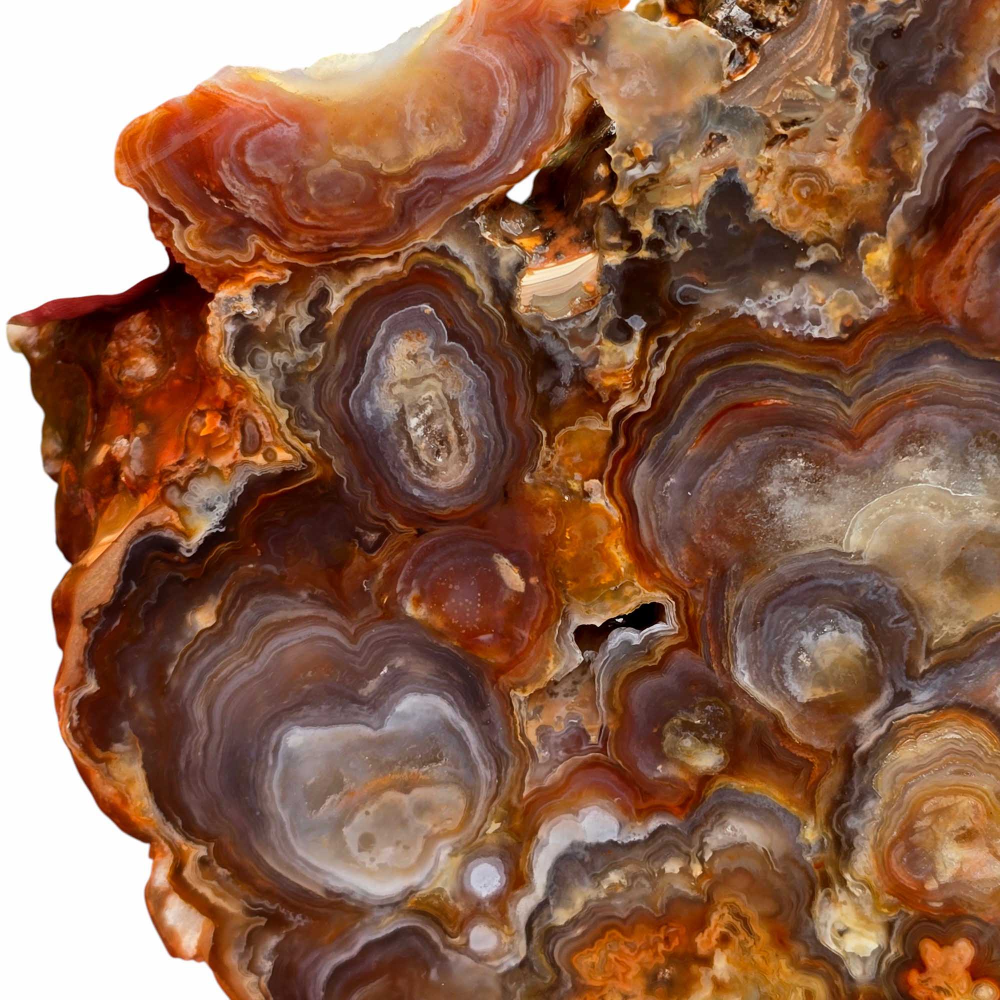 Fire Horizon Lace Agate Lapidary Cutting Rough Chunk Stone Cut Face
