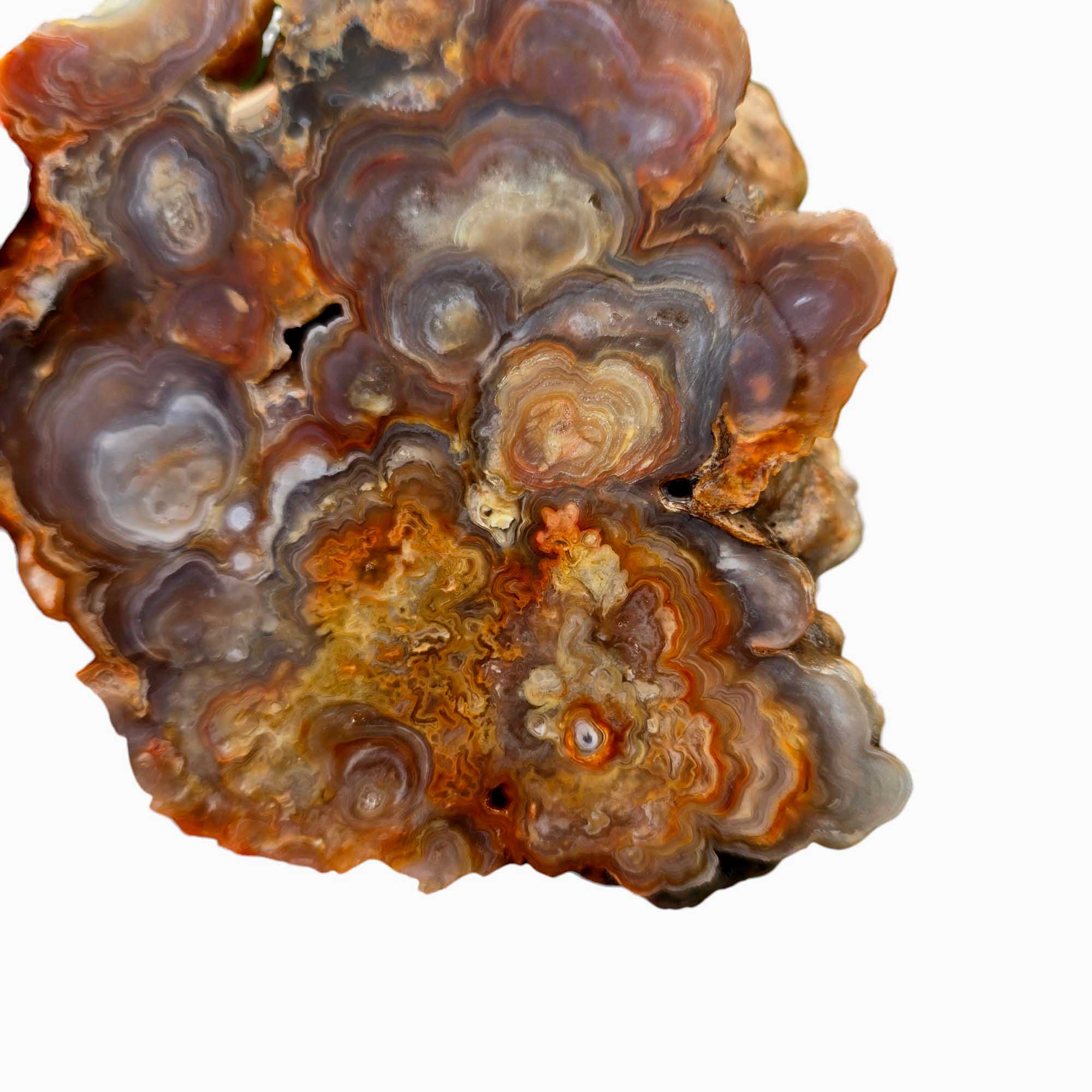 Fire Horizon Lace Agate Lapidary Cutting Rough Chunk Stone Cut Face