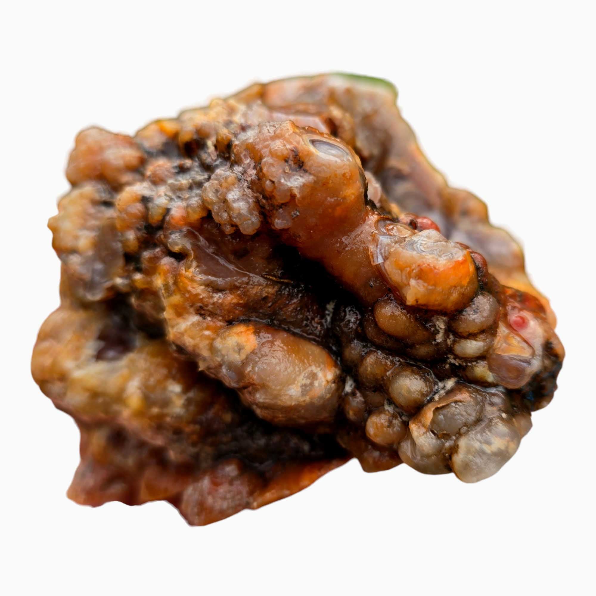 Fire Horizon Lace Agate Lapidary Cutting Rough Chunk Stone Cut Face