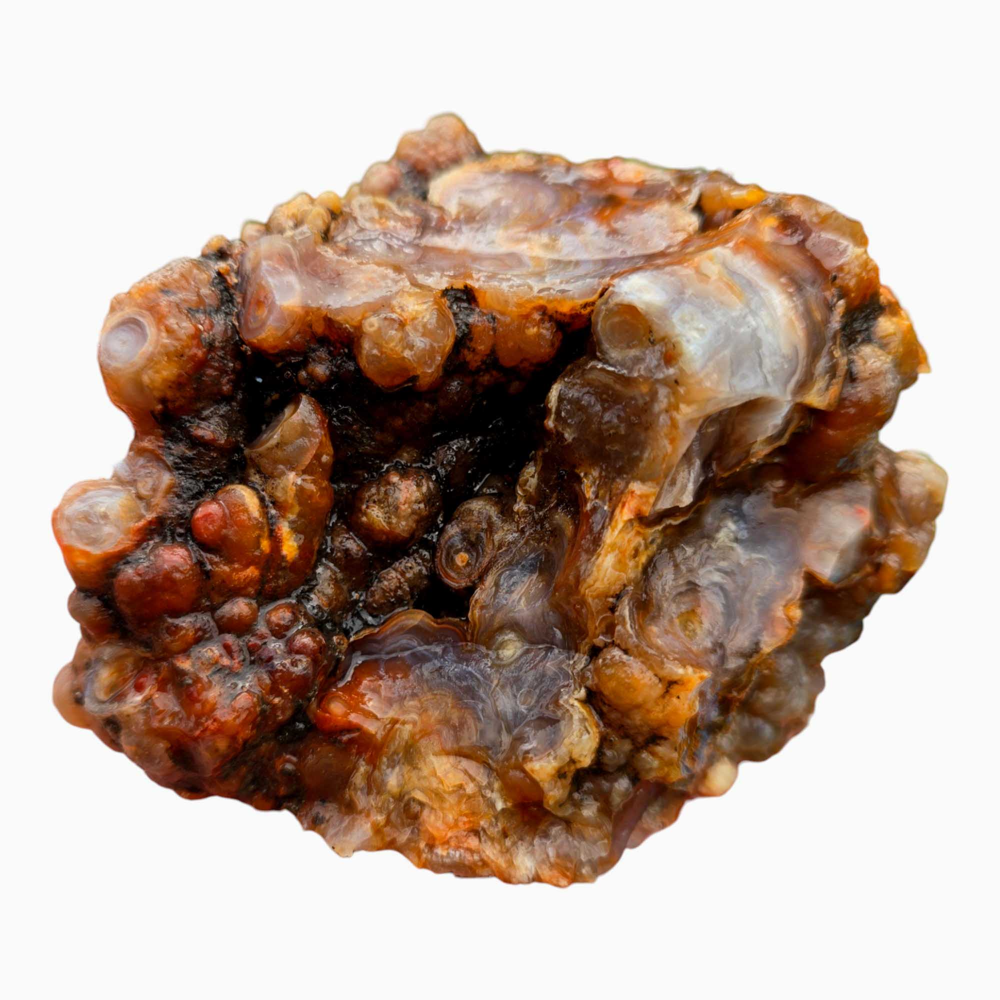 Fire Horizon Lace Agate Lapidary Cutting Rough Chunk Stone Cut Face