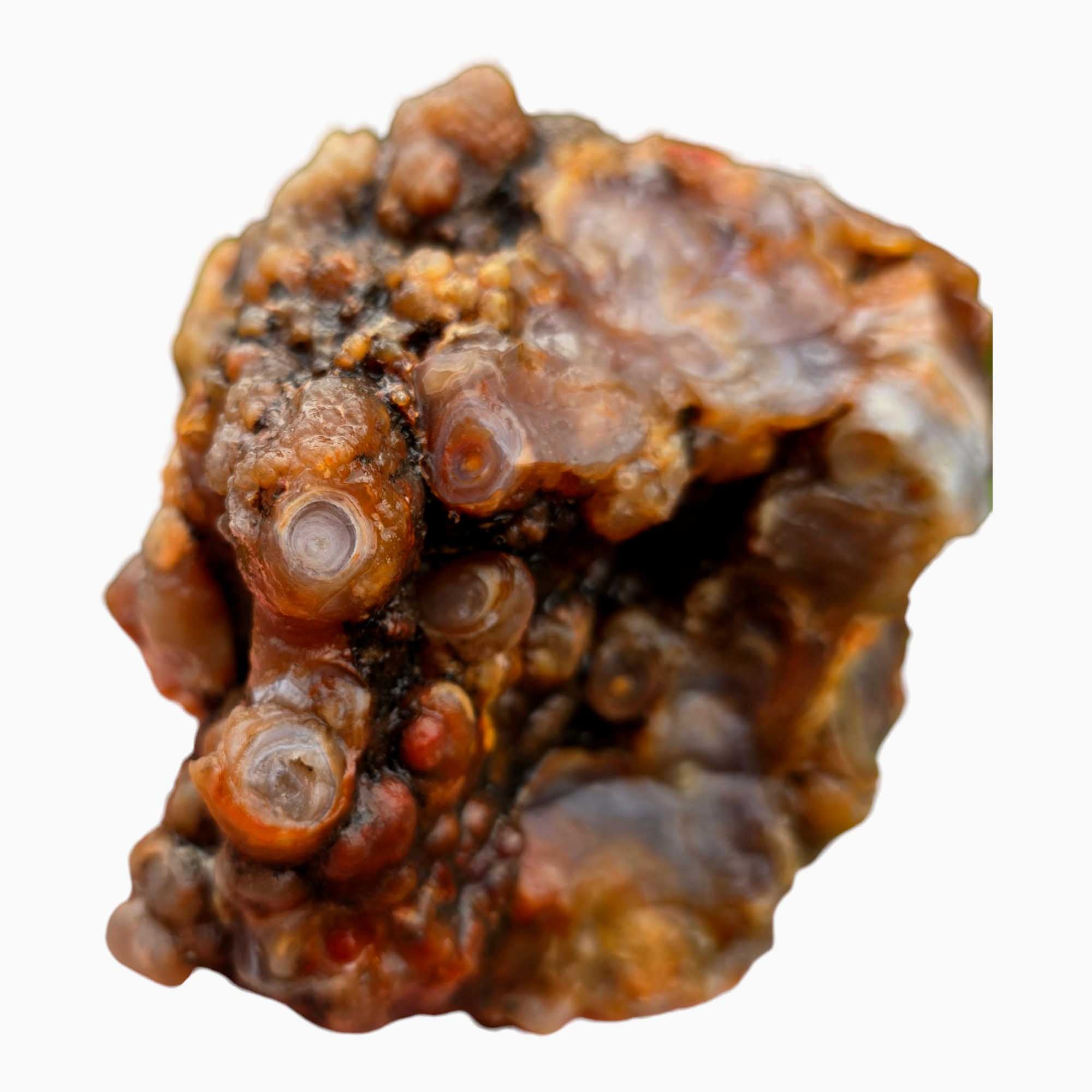 Fire Horizon Lace Agate Lapidary Cutting Rough Chunk Stone Cut Face