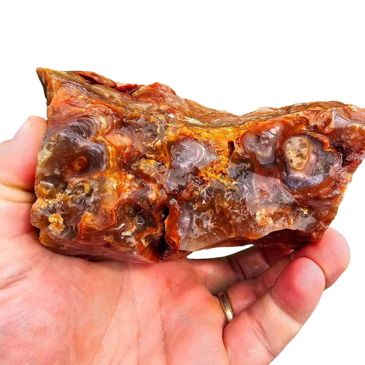 Fire Horizon Lace Agate Cutting Rough Chunk!