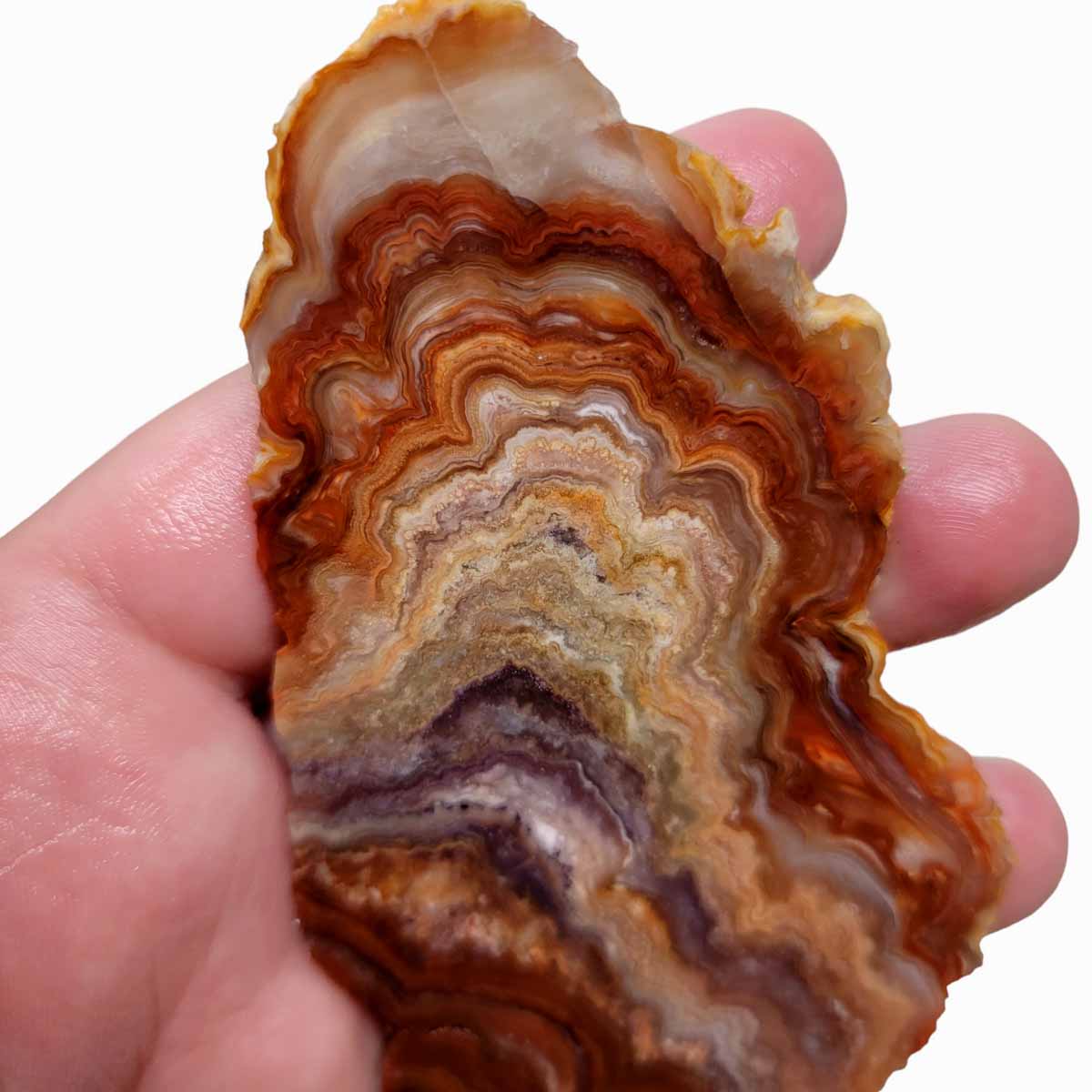 Fire Horizon Lace Agate Slab!  Lapidary Stone Slab!