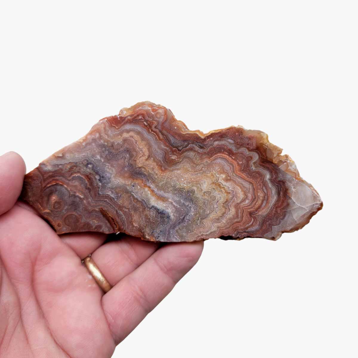 Fire Horizon Lace Agate Slab!  Lapidary Stone Slab!