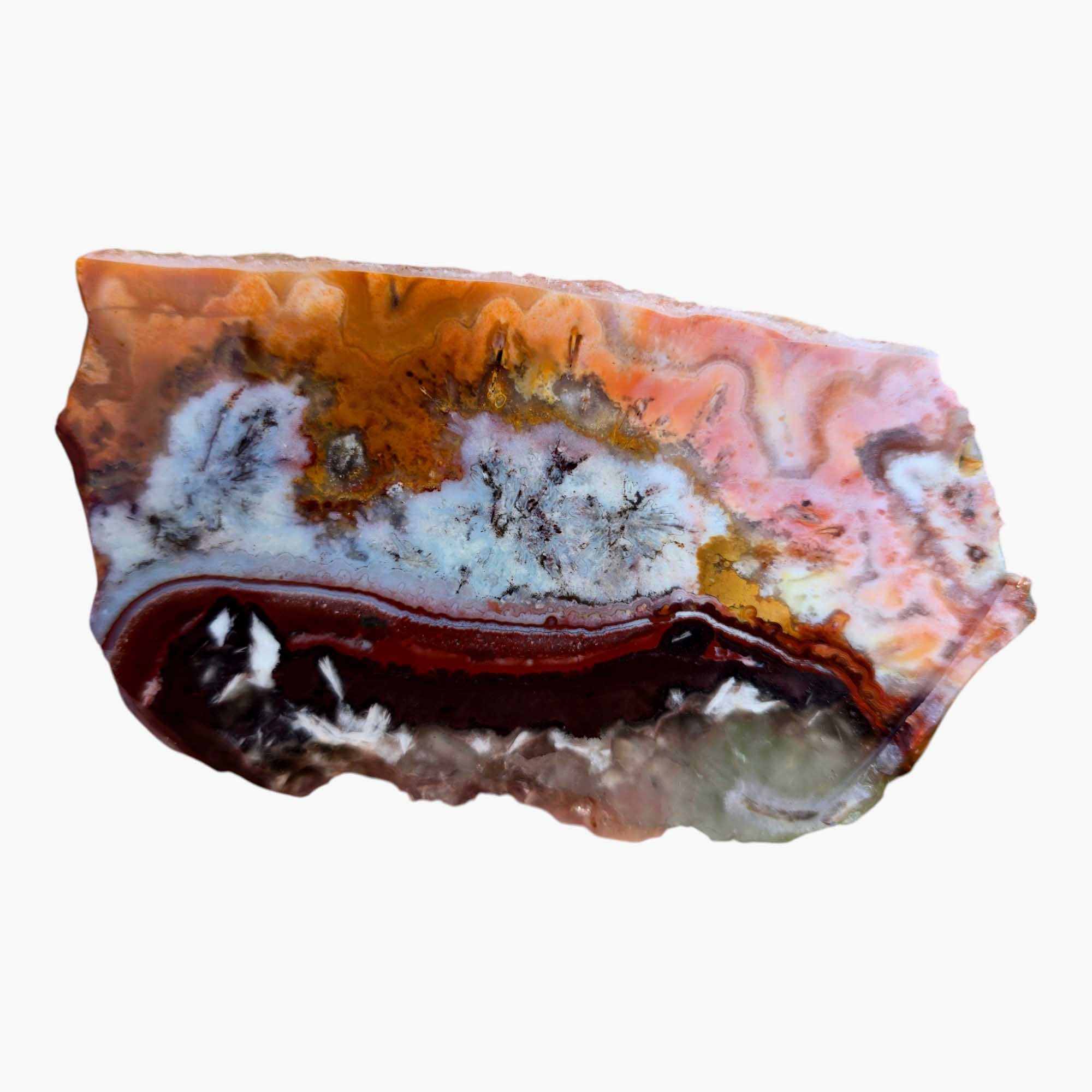 Flor de Durazno Flower of Peach Lace Agate Slab Lapidary Stone Slab