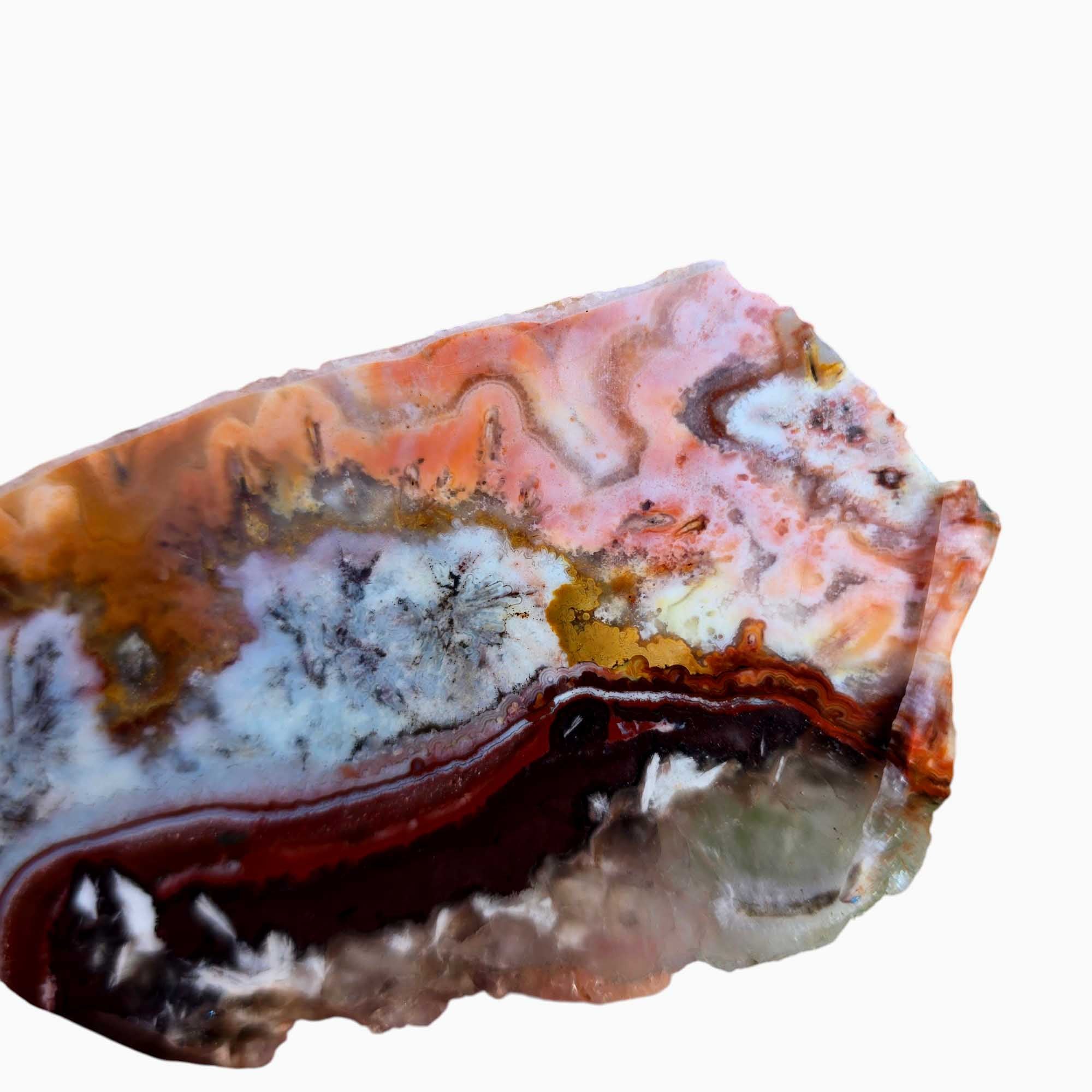 Flor de Durazno Flower of Peach Lace Agate Slab Lapidary Stone Slab