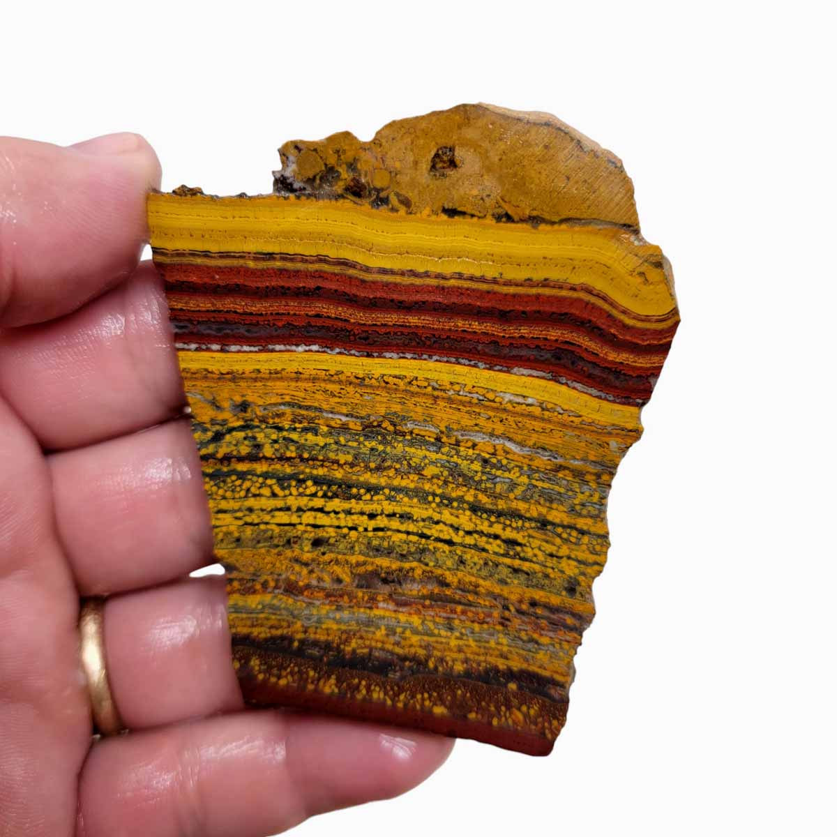 Apple Valley Jasper Slab!  Fossil Stromatolite Slab!