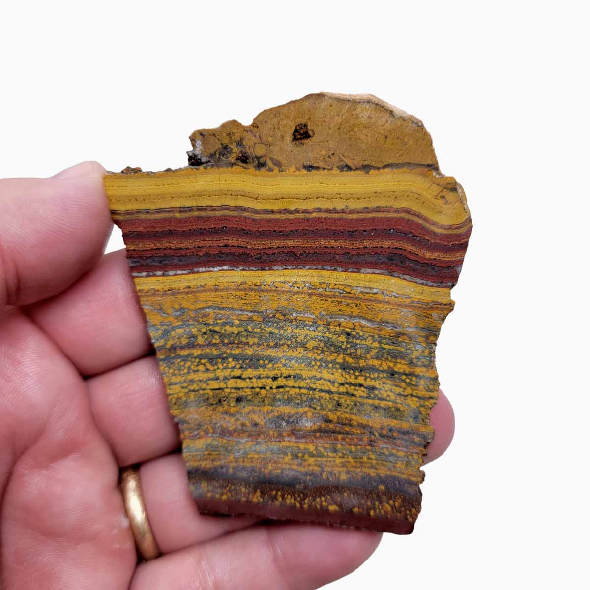 Apple Valley Jasper Slab!  Fossil Stromatolite Slab!