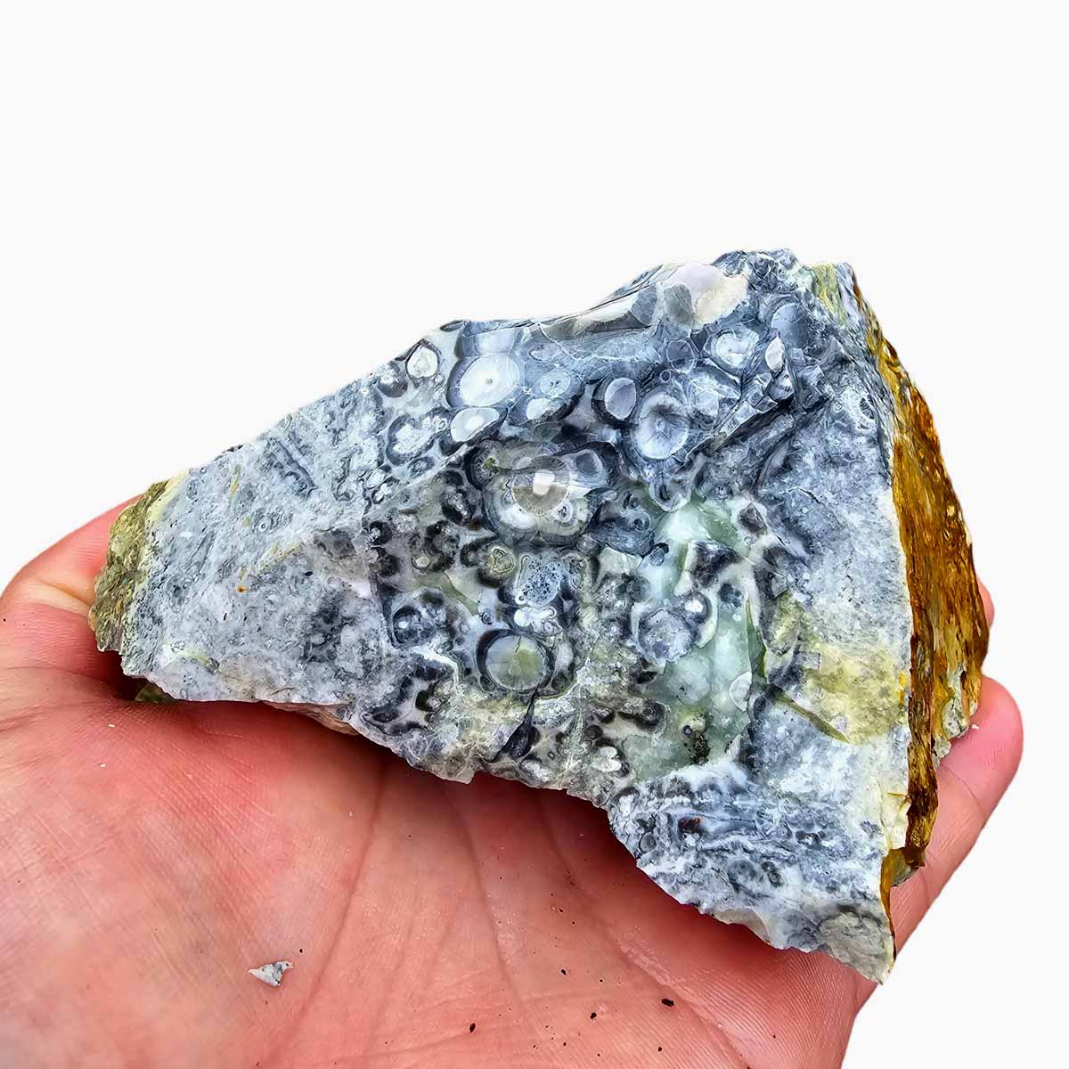 Galaxy Galactica Orbicular Rhyolite Jasper Rough Chunk