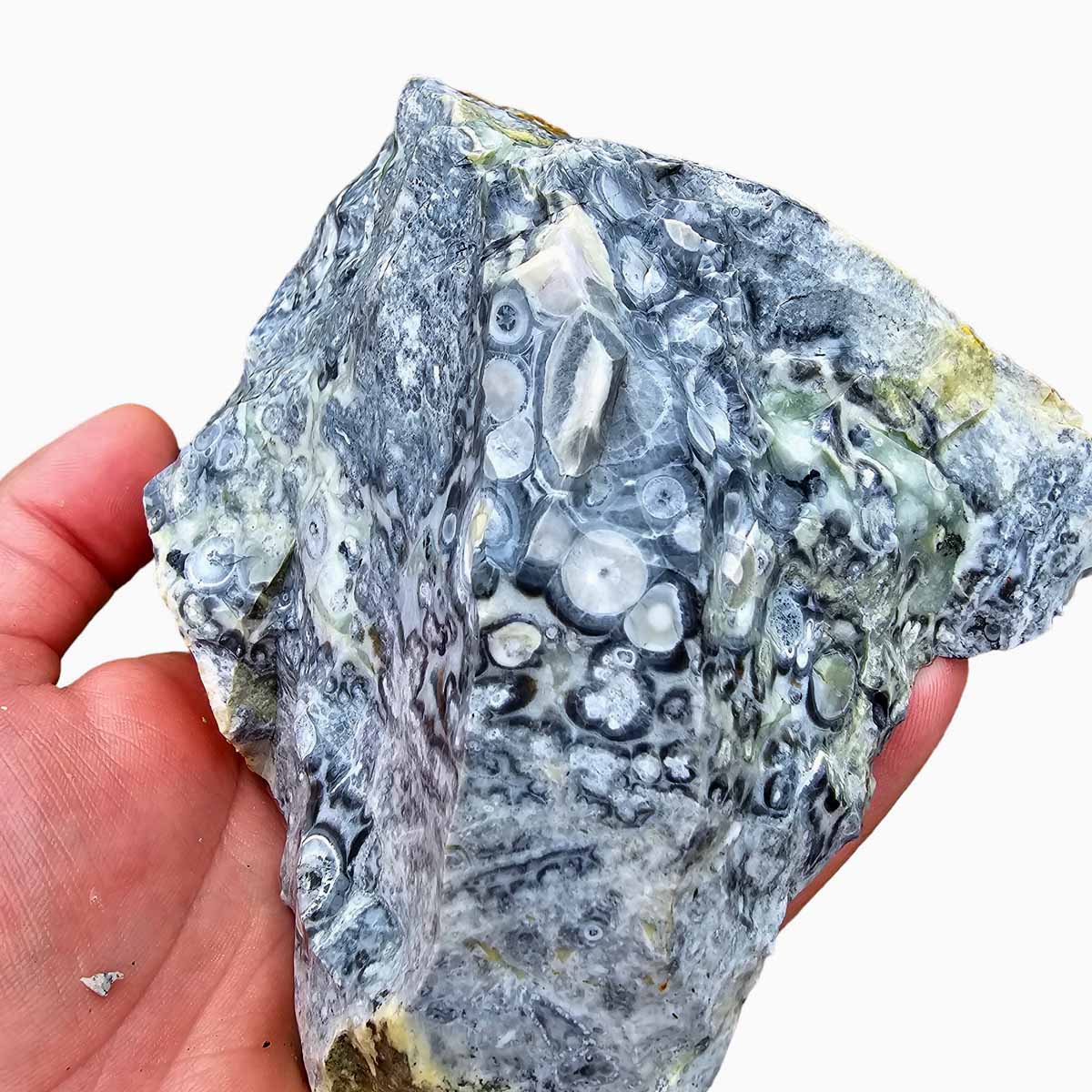 Galaxy Galactica Orbicular Rhyolite Jasper Rough Chunk